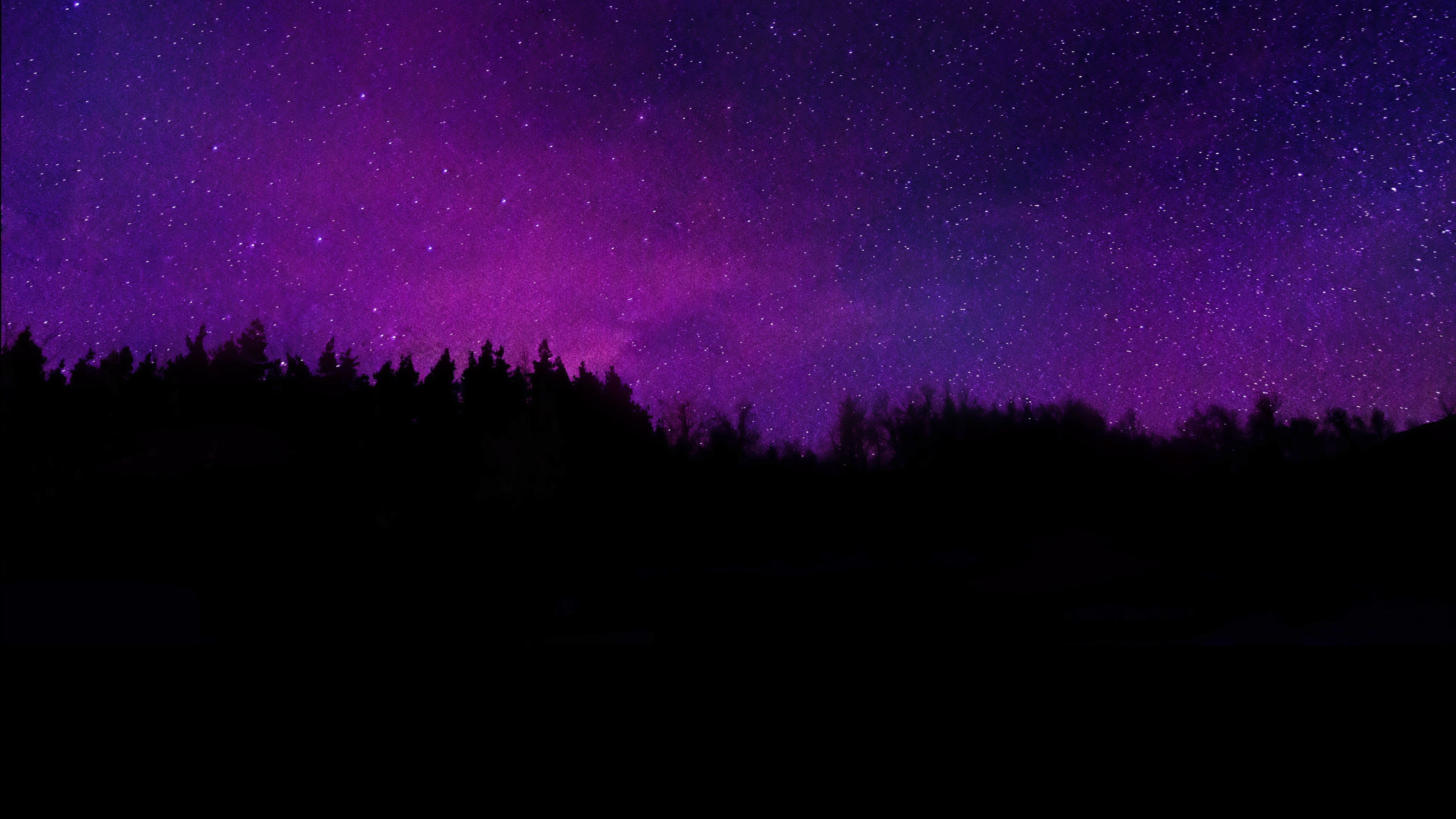 Trees Wallpaper 4K, Silhouette, Purple sky