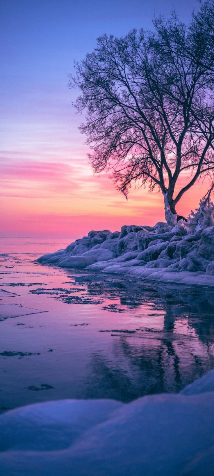 wallpaper for iphone 13 and iphone 13 max