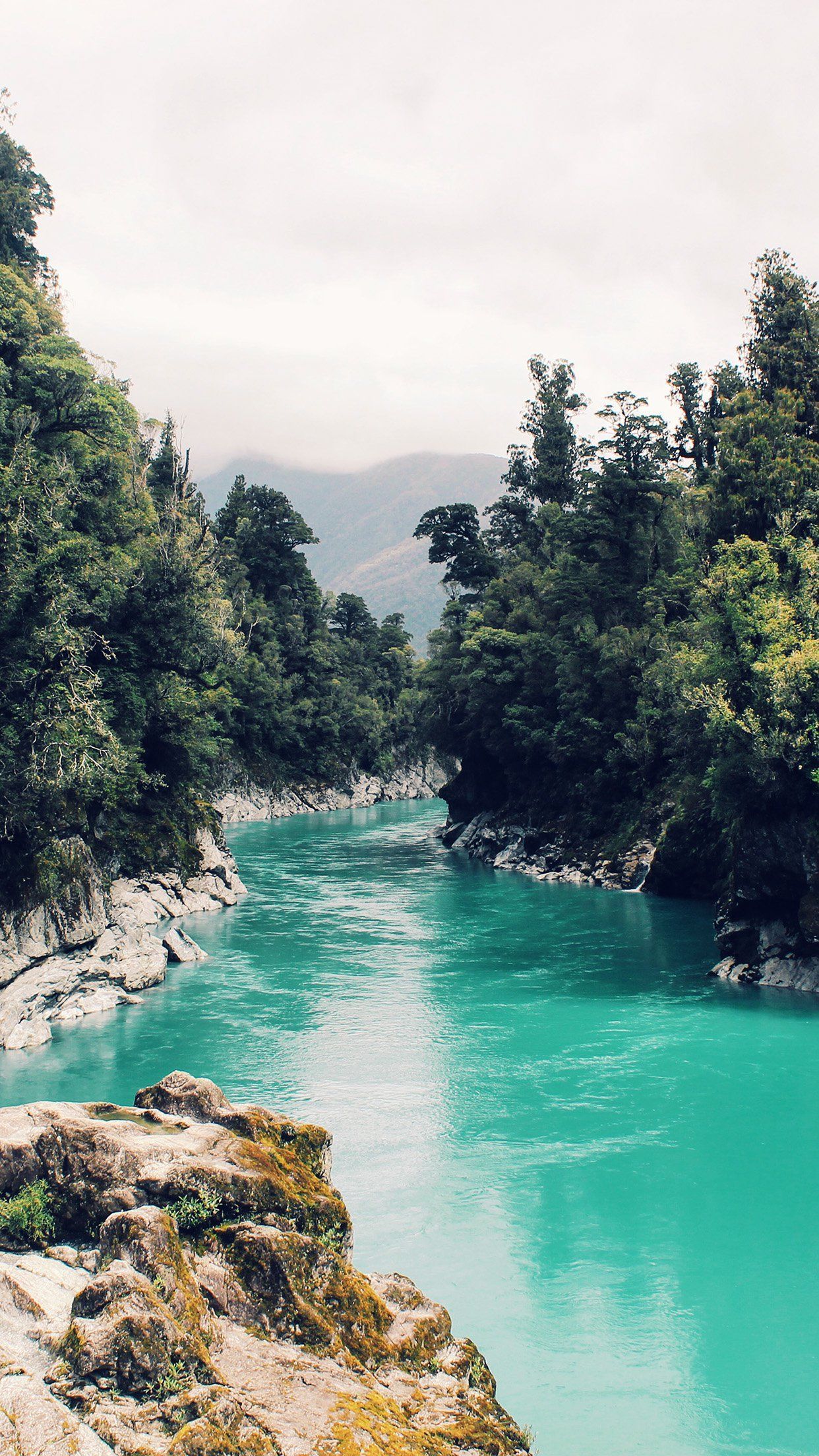 Nature iPhone Wallpaper