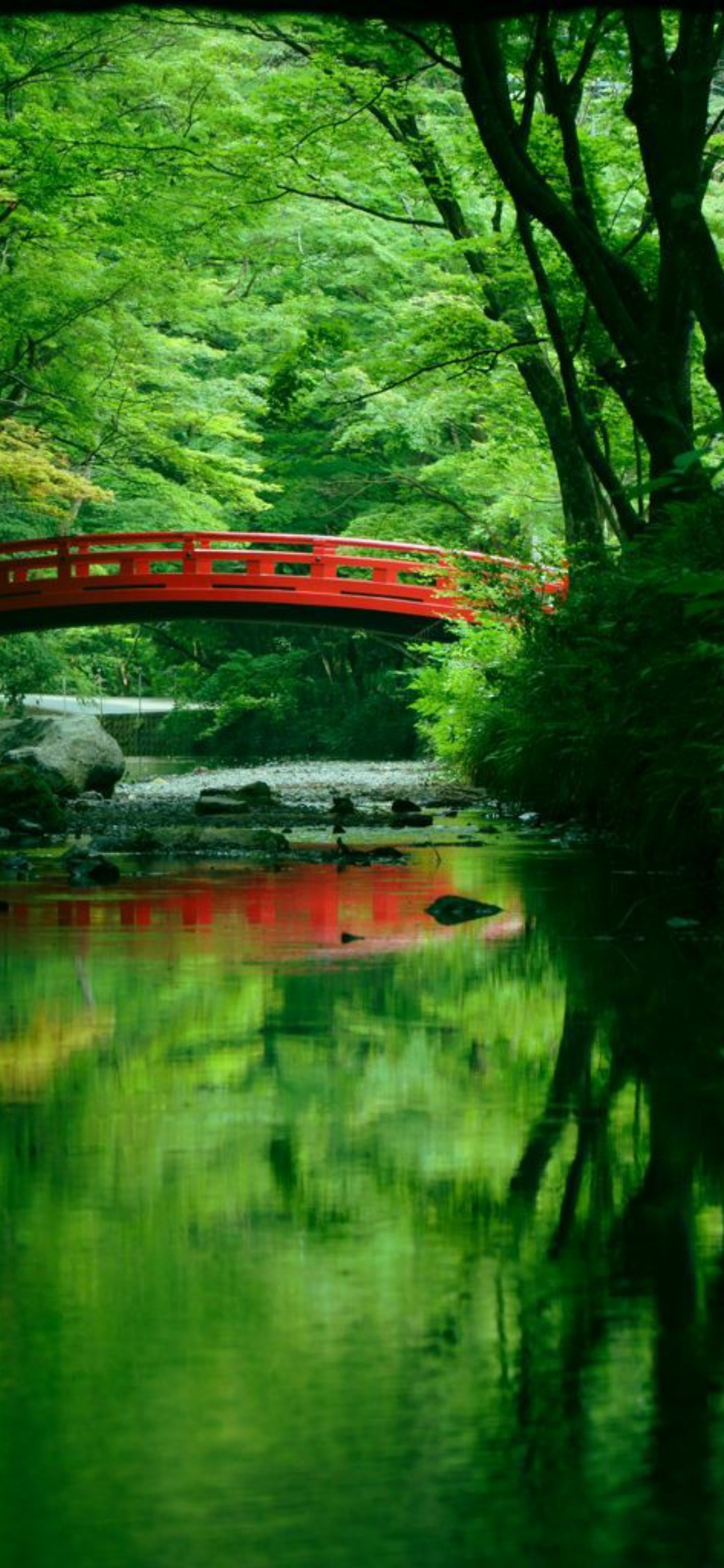 Best Nature iPhone Wallpaper