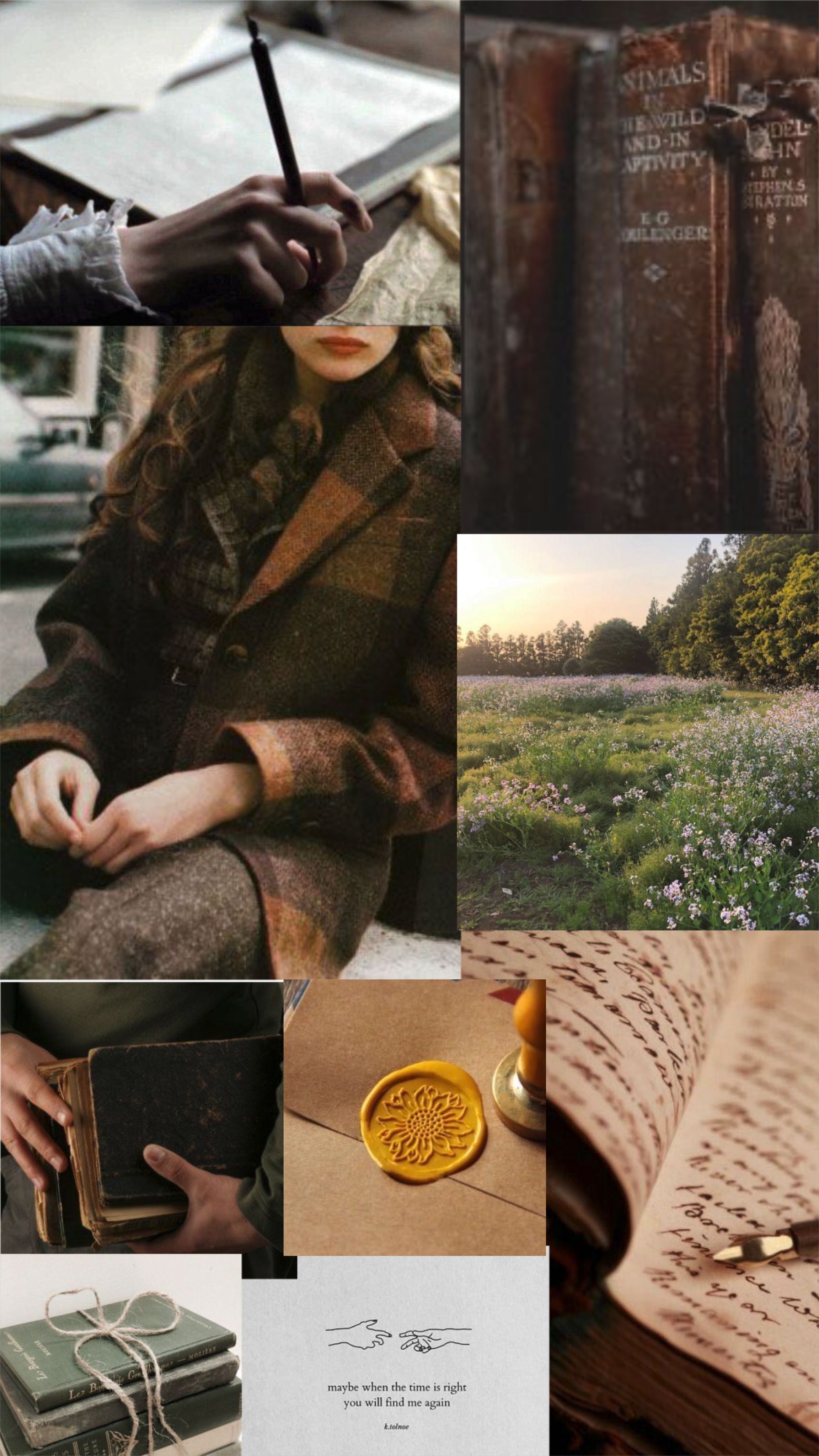 Jo March Aesthetic. Light in the dark, Dark academia aesthetic, Academia aesthetic