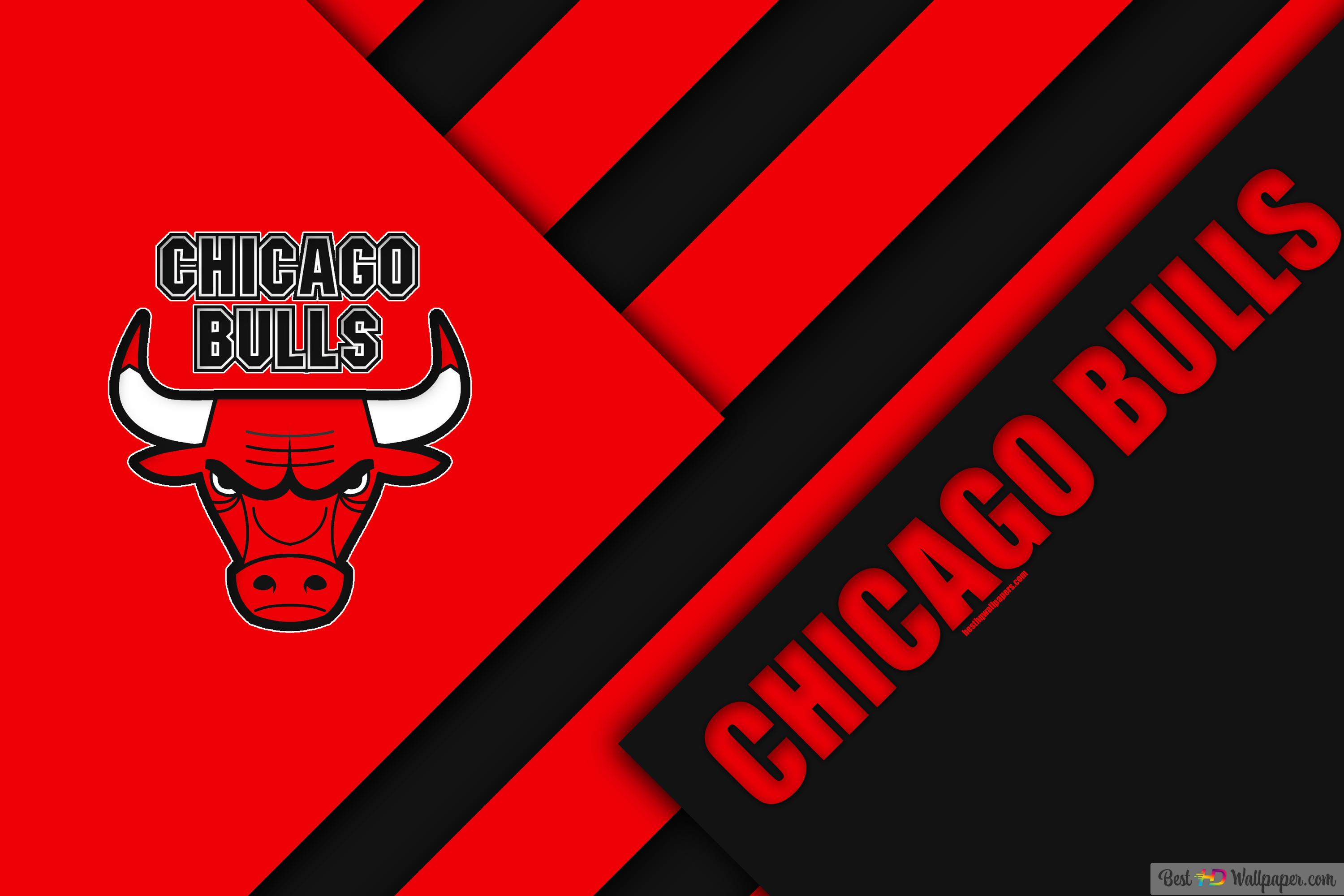 Download Chicago Bulls Man Wearing Rose Jersey Wallpaper