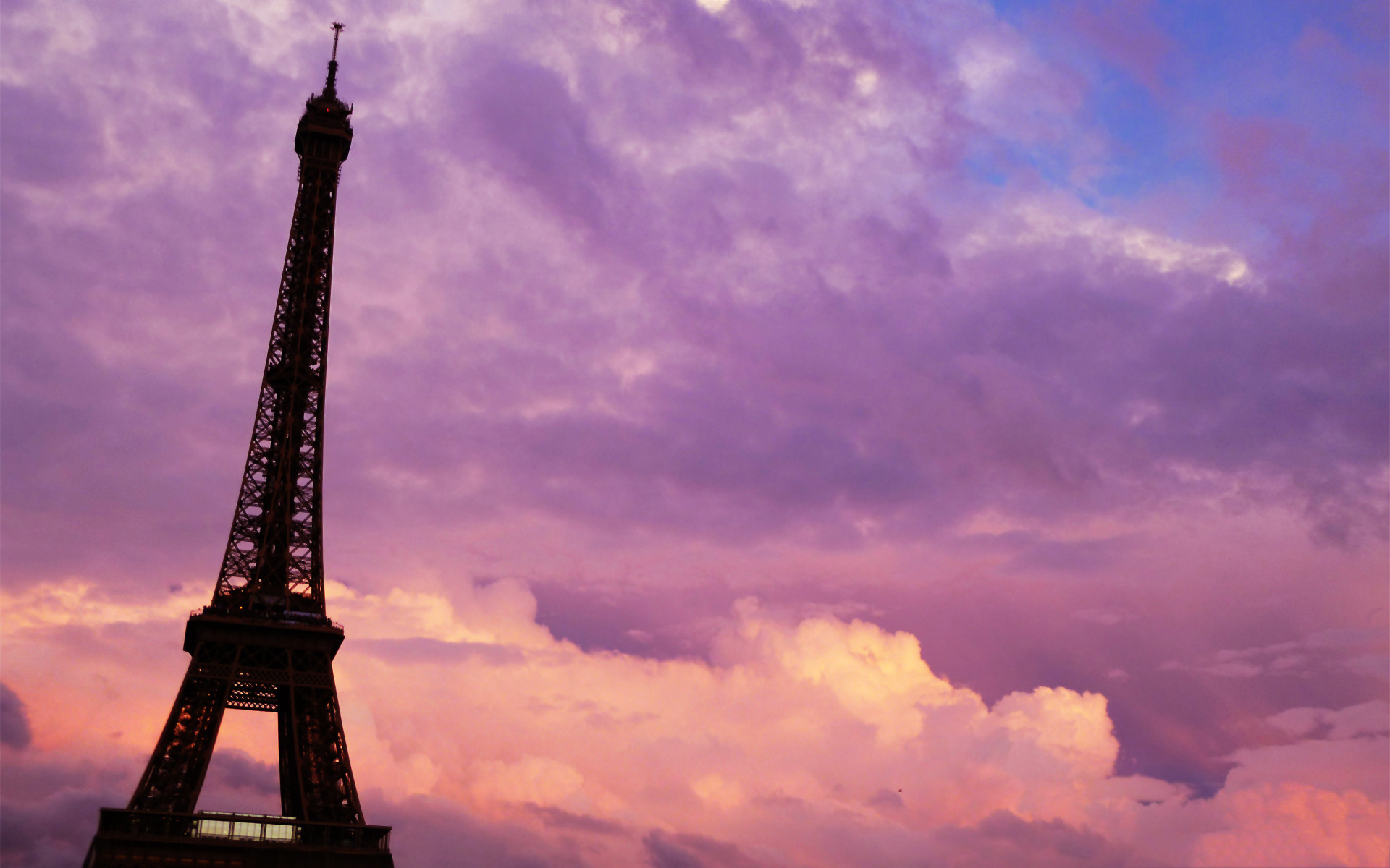 Pink Paris Wallpaper