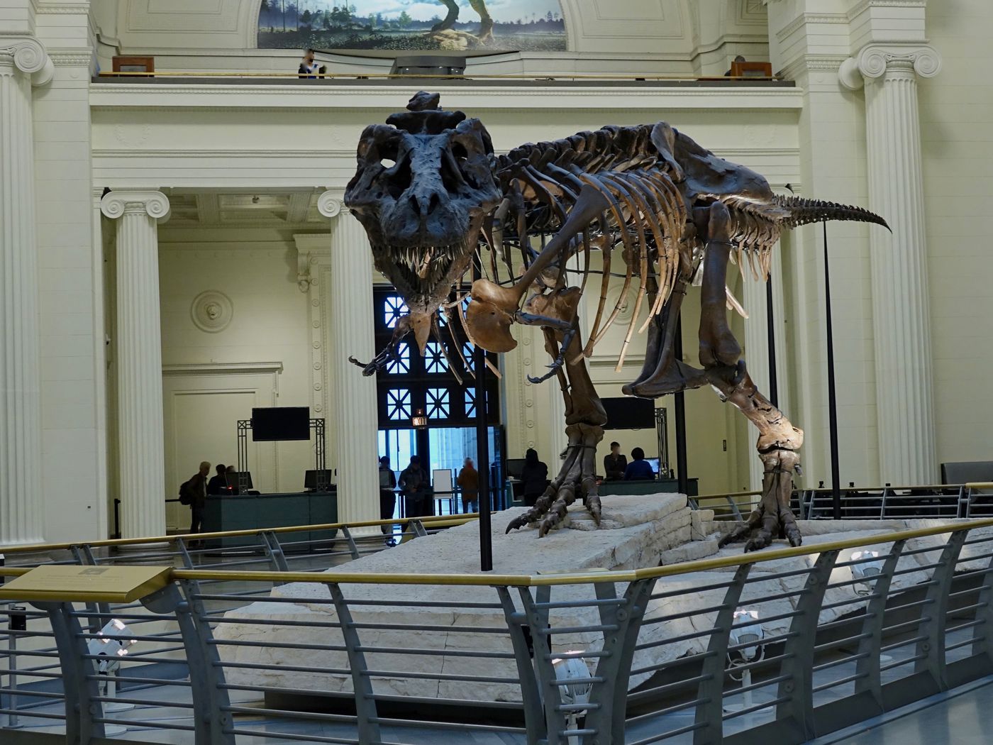 The Field Museum is moving SUE the T. rex—visit to see the process begin