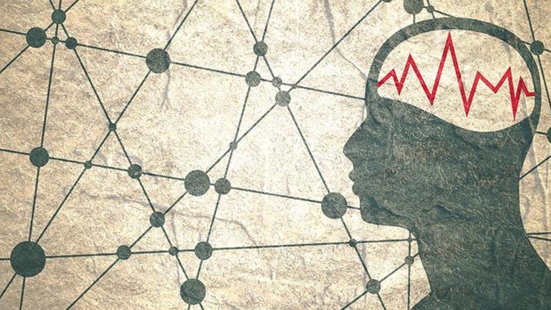 After Searching 12 Years for Bipolar Disorder's Cause, a Team Concludes It Has Many