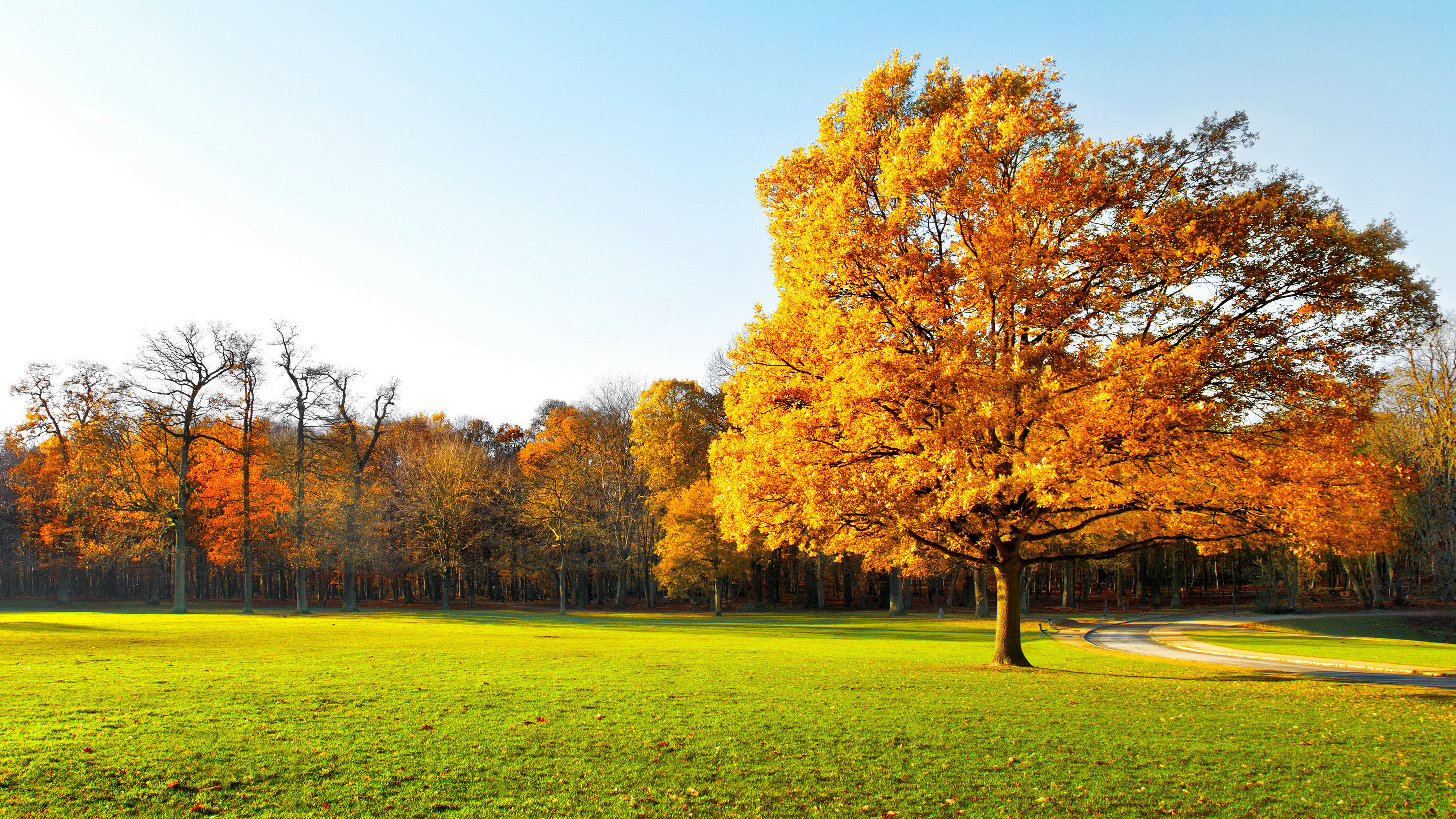 2501 8k wallpaper HD landscape fall Gallery HD Wallpaper