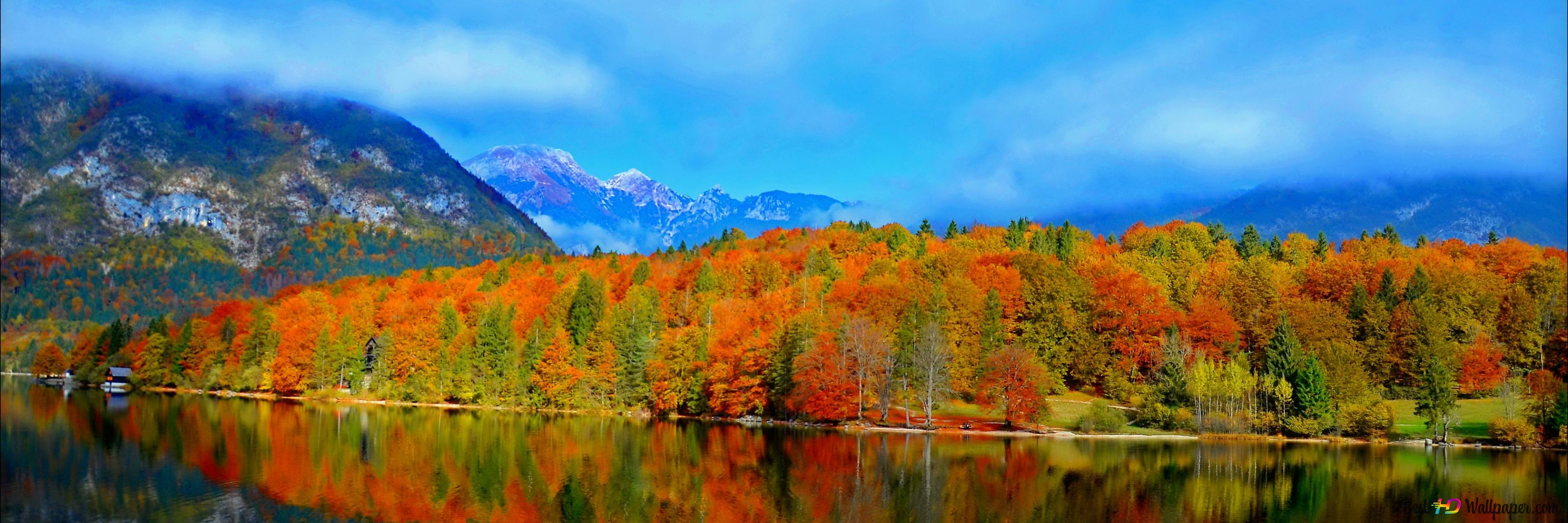 Autumn forest in the mountain 4K wallpaper download