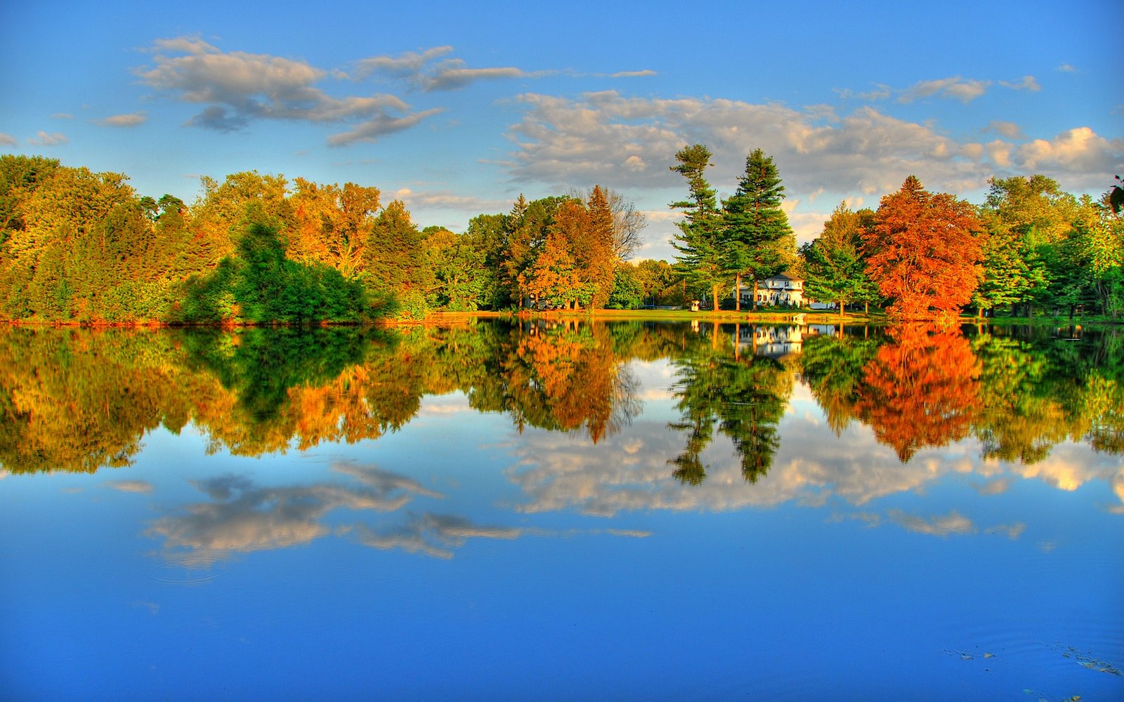 Free download Autumn Wallpaper HD Widescreen Desktop [1600x1000] for your Desktop, Mobile & Tablet. Explore Autumn HD Widescreen Wallpaper. Autumn HD Wallpaper, HD Autumn Wallpaper, Autumn Wallpaper HD
