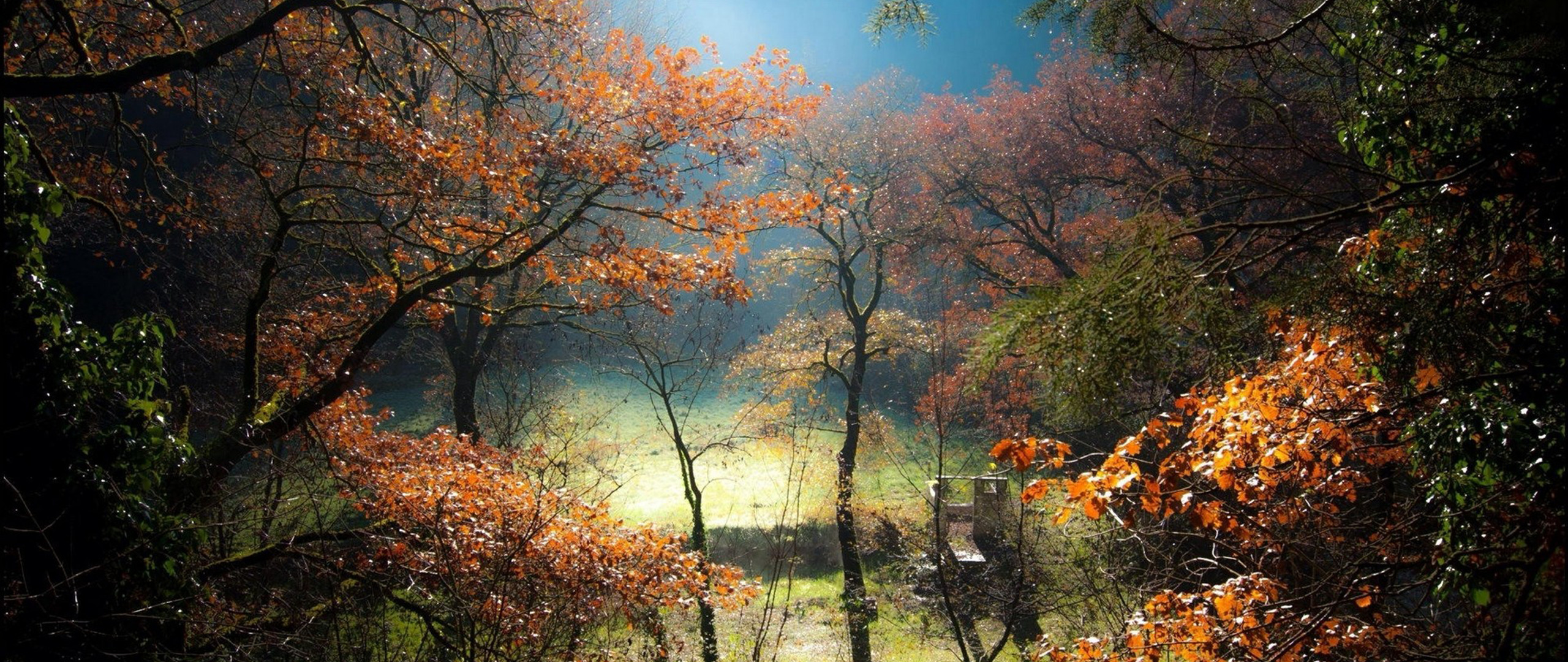 ultra wide photography nature Gallery HD Wallpaper