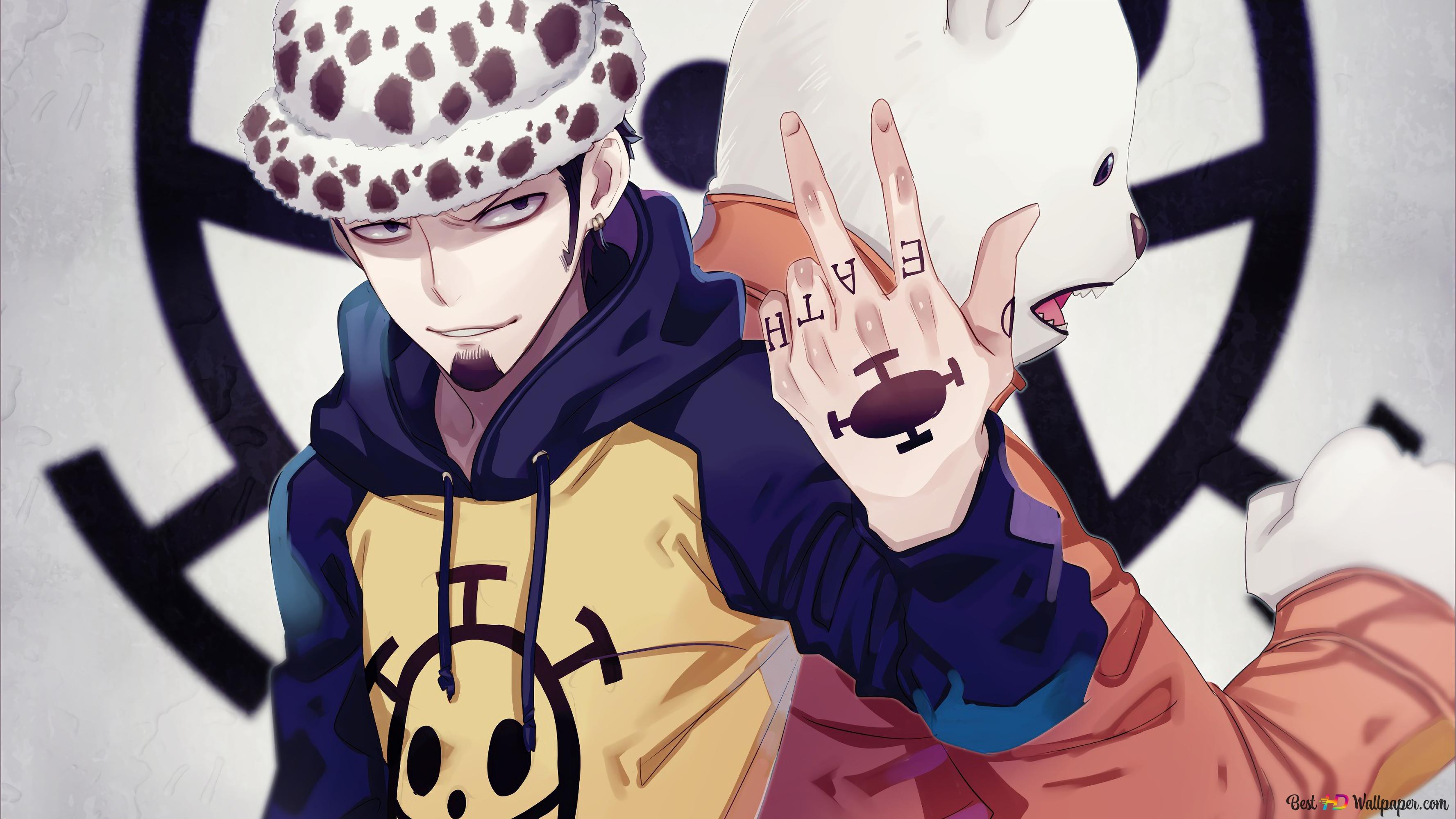 One Piece D. Water Law, Surgeon of Death, Bepo 4K wallpaper download