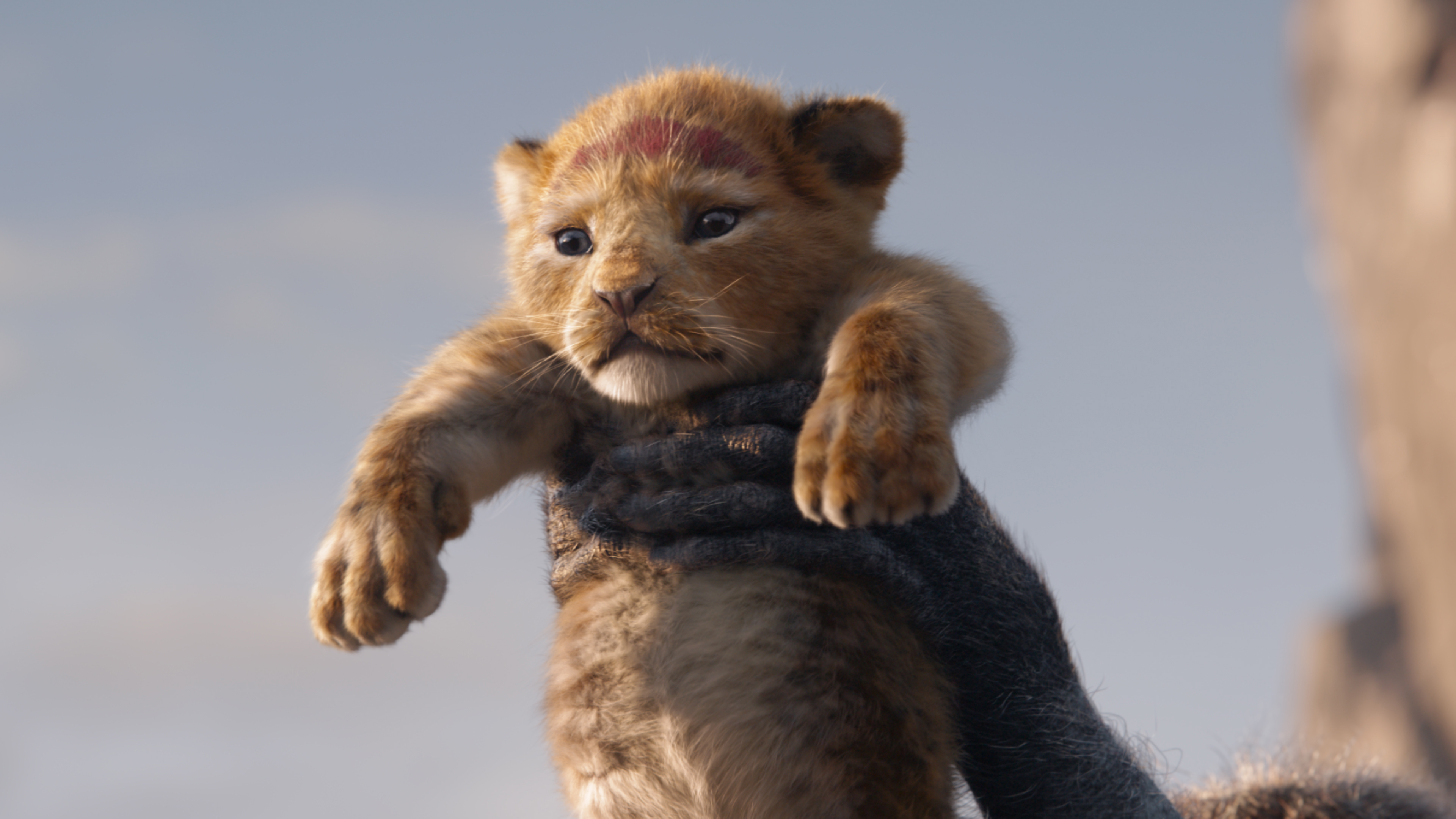 The Lion King 2019 Simba 4K Wallpaper