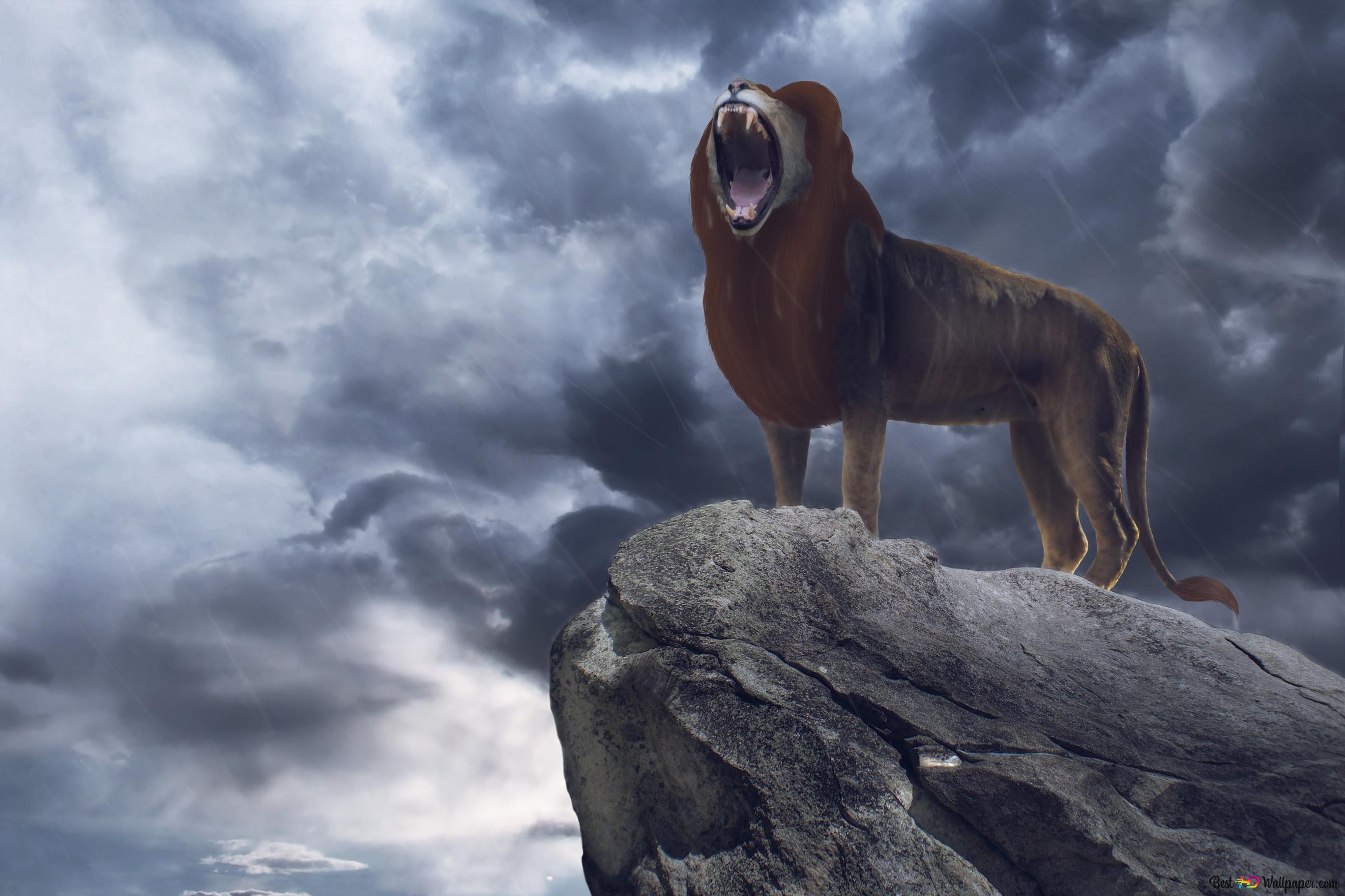The lion king, Simba 4K wallpaper download