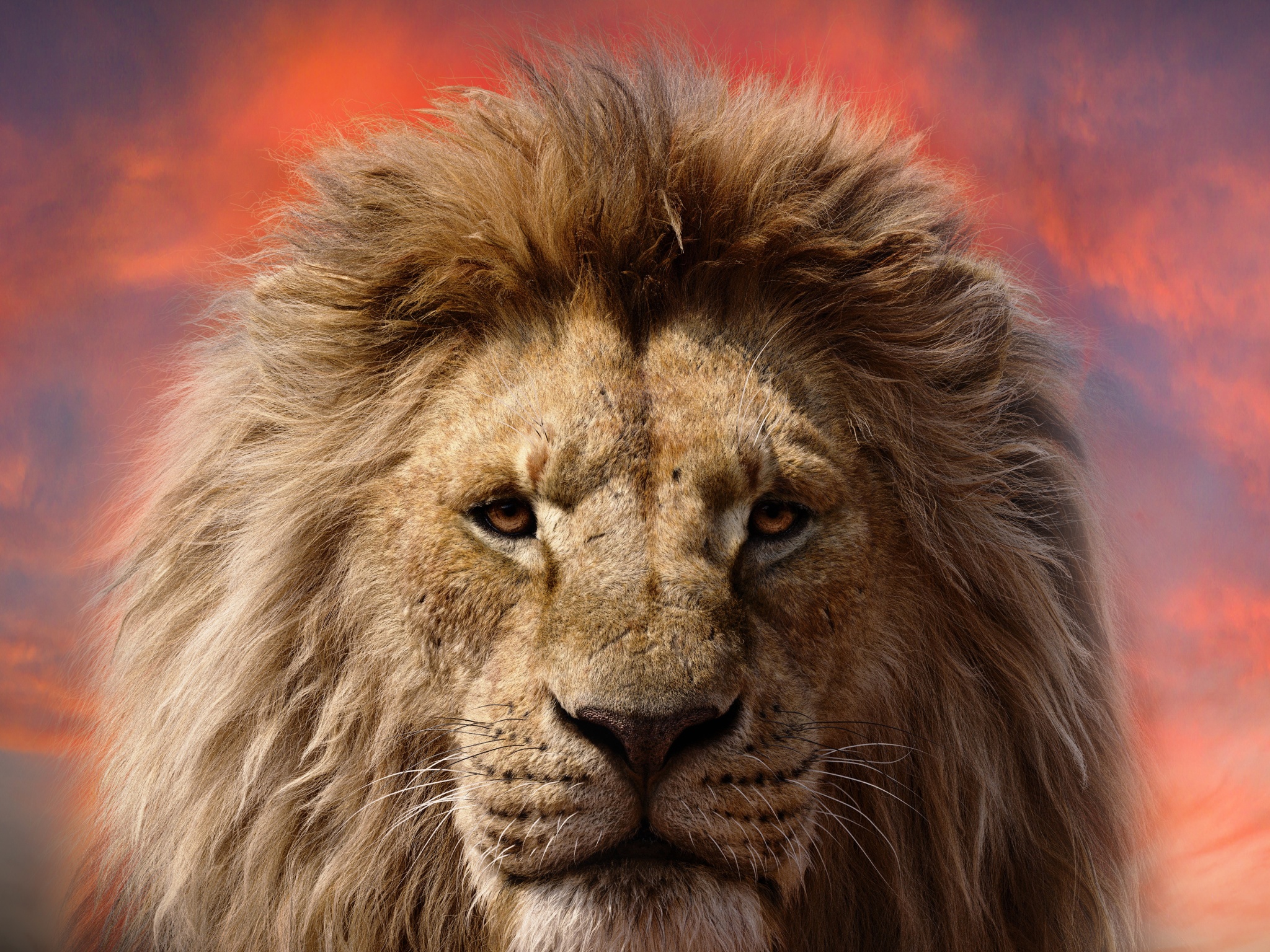 Mufasa: The Lion King Wallpaper 4K, 2024 Movies, Disney, 5K
