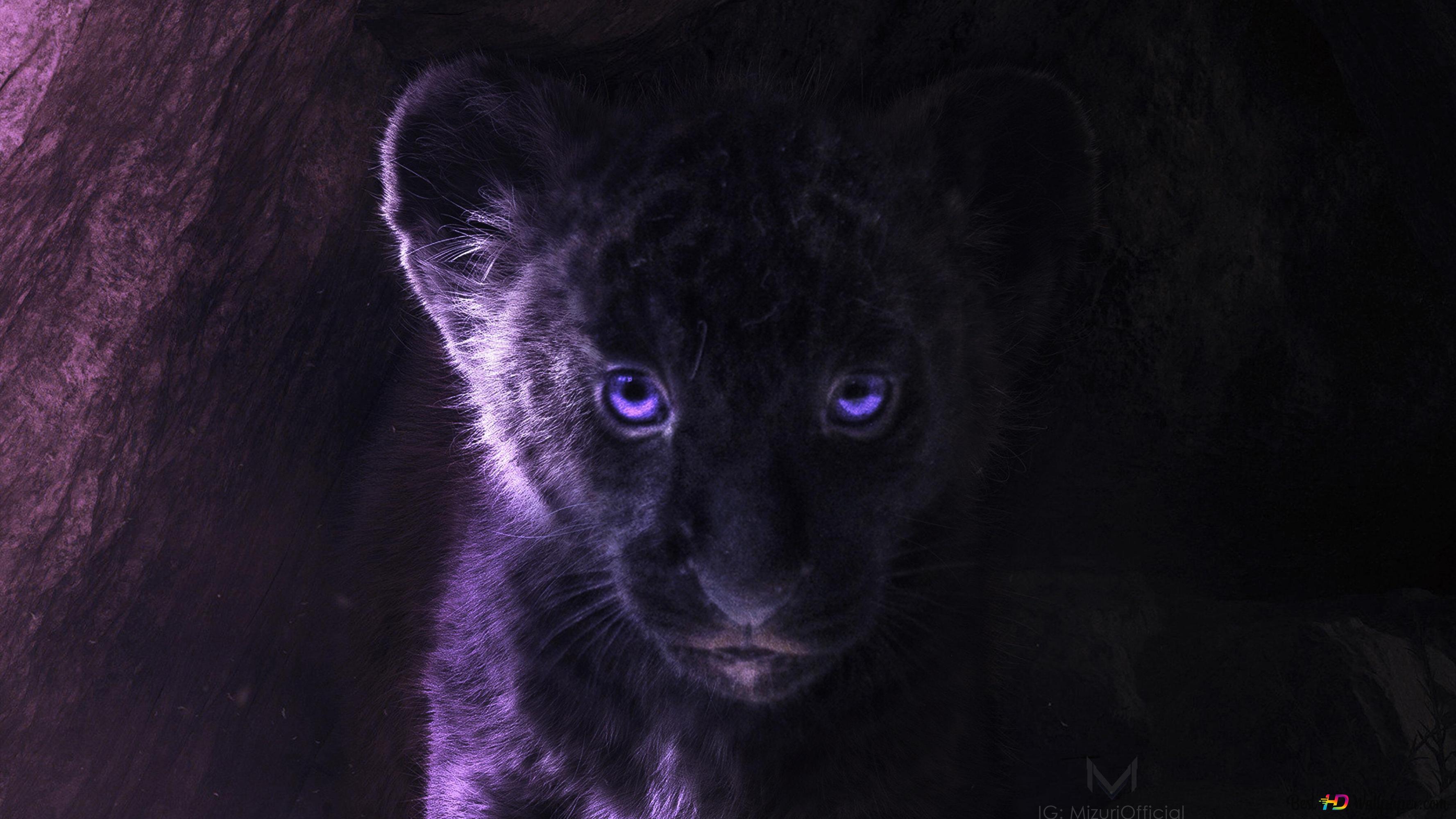 Purple eyed Simba 4K wallpaper download