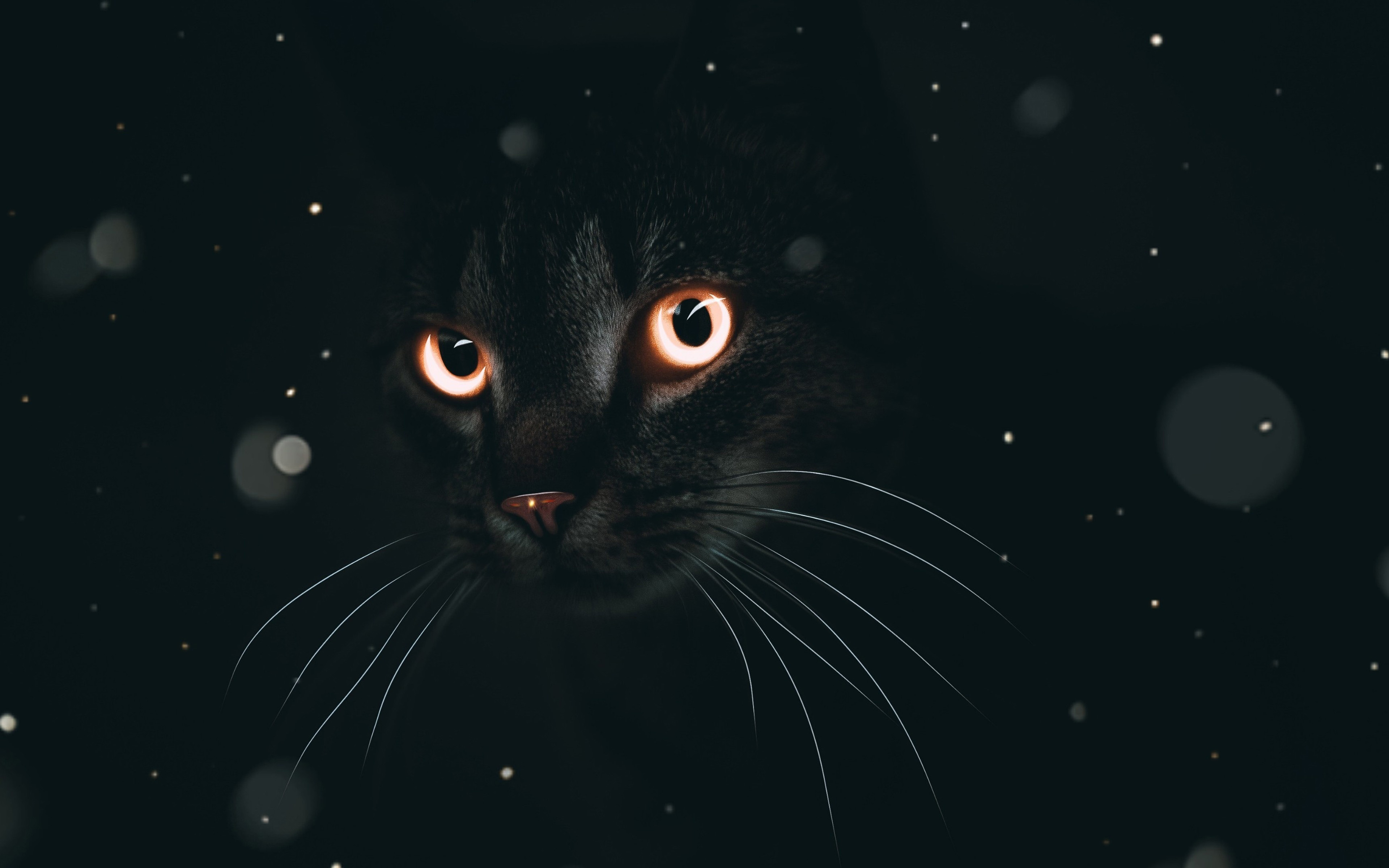 Download wallpaper black cat, 4k, darkness, pets, abstract art, cat with yellow eyes, cats for desktop with resolution 3840x2400. High Quality HD picture wallpaper