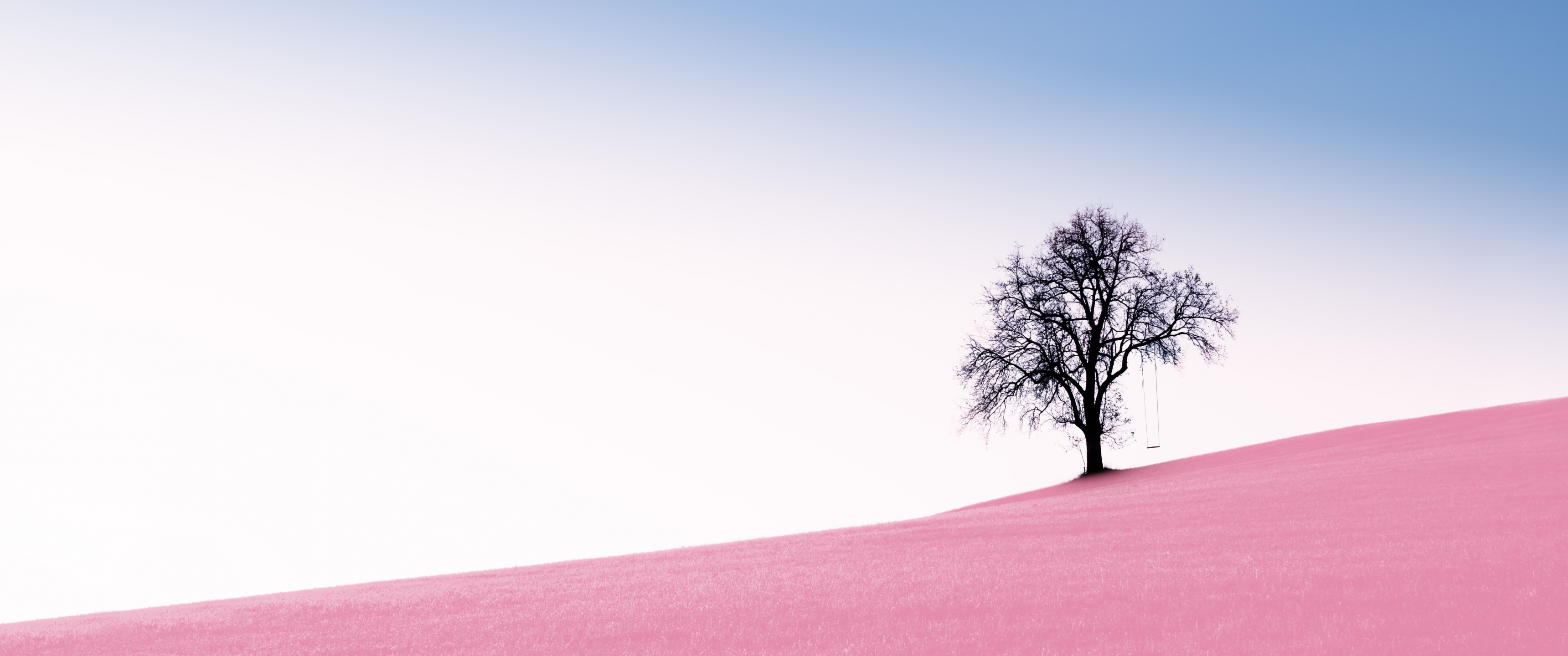Solitude Tree Wallpaper 4K, Clear sky, Landscape, Surreal