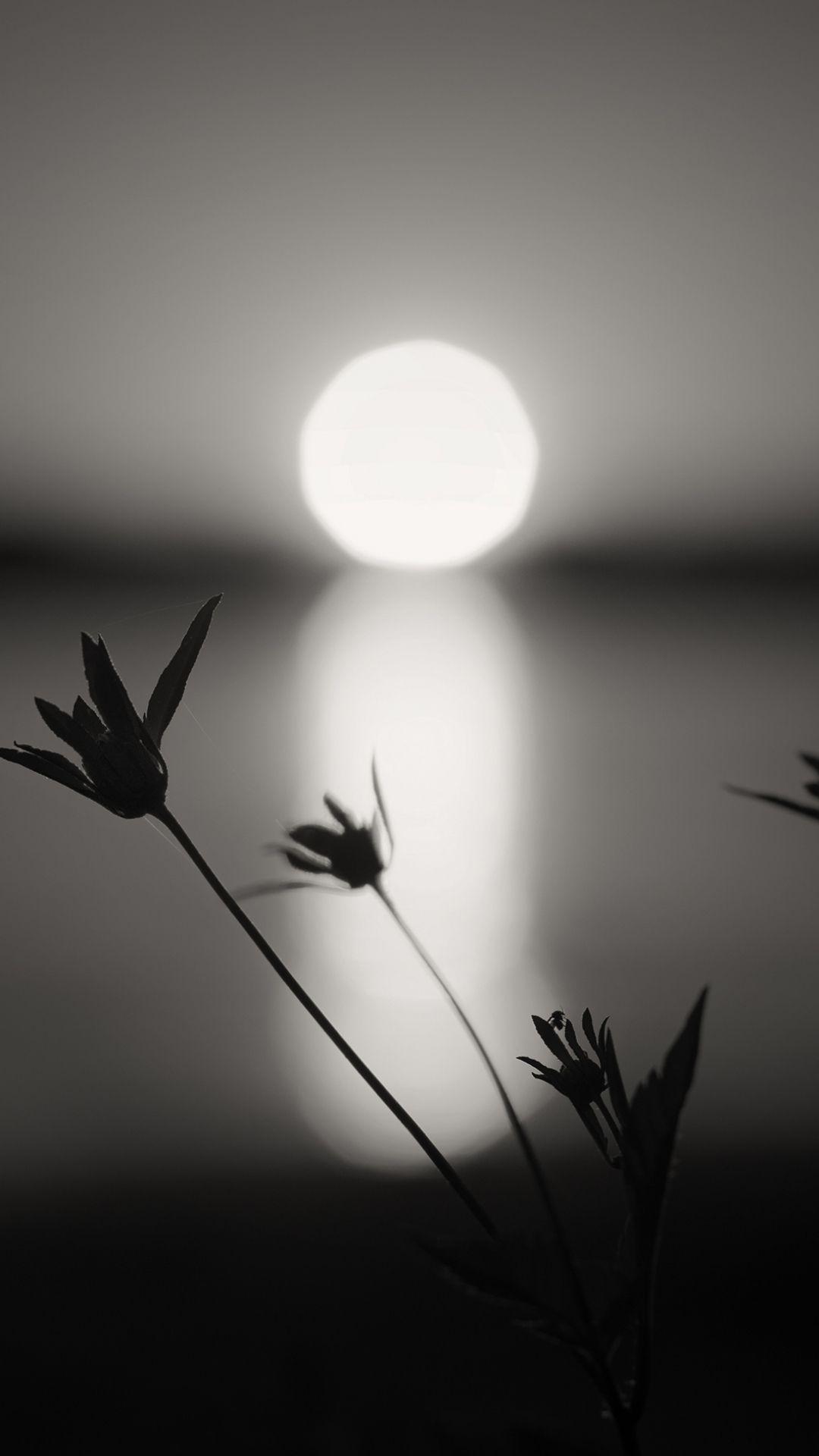 Black and White Mobile Wallpaper Free Black and White Mobile Background