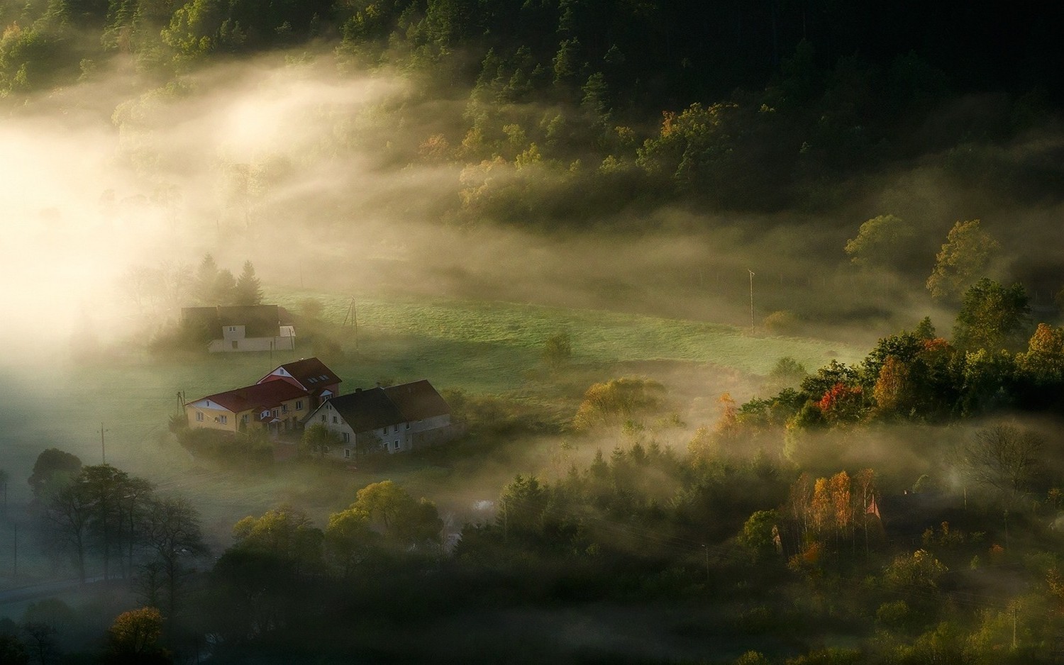 Wallpaper, sunlight, trees, landscape, forest, hill, nature, reflection, sunrise, village, evening, morning, mist, jungle, fog, weather, dawn, darkness, screenshot, habitat, atmospheric phenomenon, computer wallpaper, 1500x938 px 1500x938