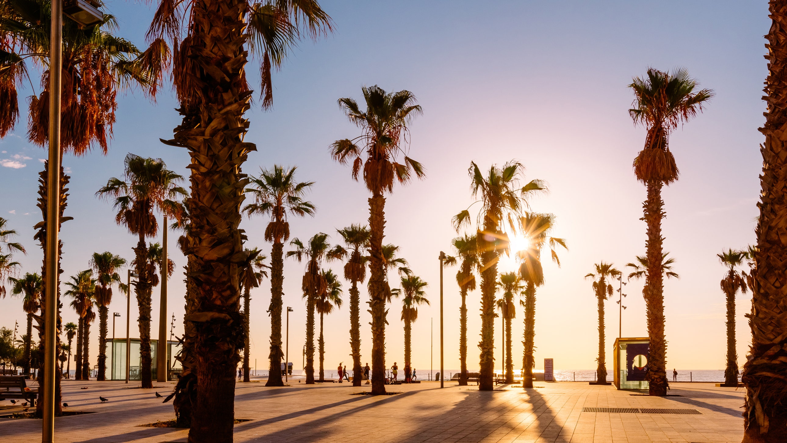 Best Beaches in Barcelona. Condé Nast Traveler