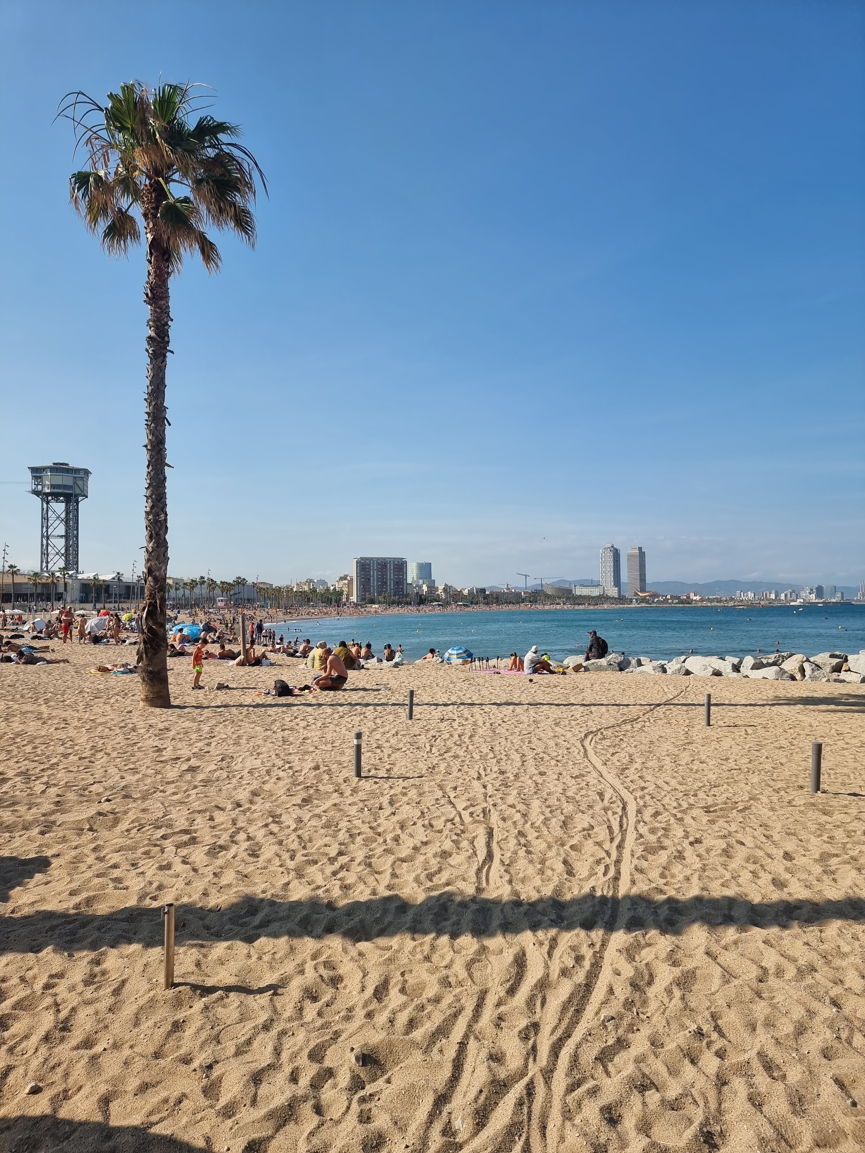 Barcelona Beach Photo, Download The BEST Free Barcelona Beach & HD Image