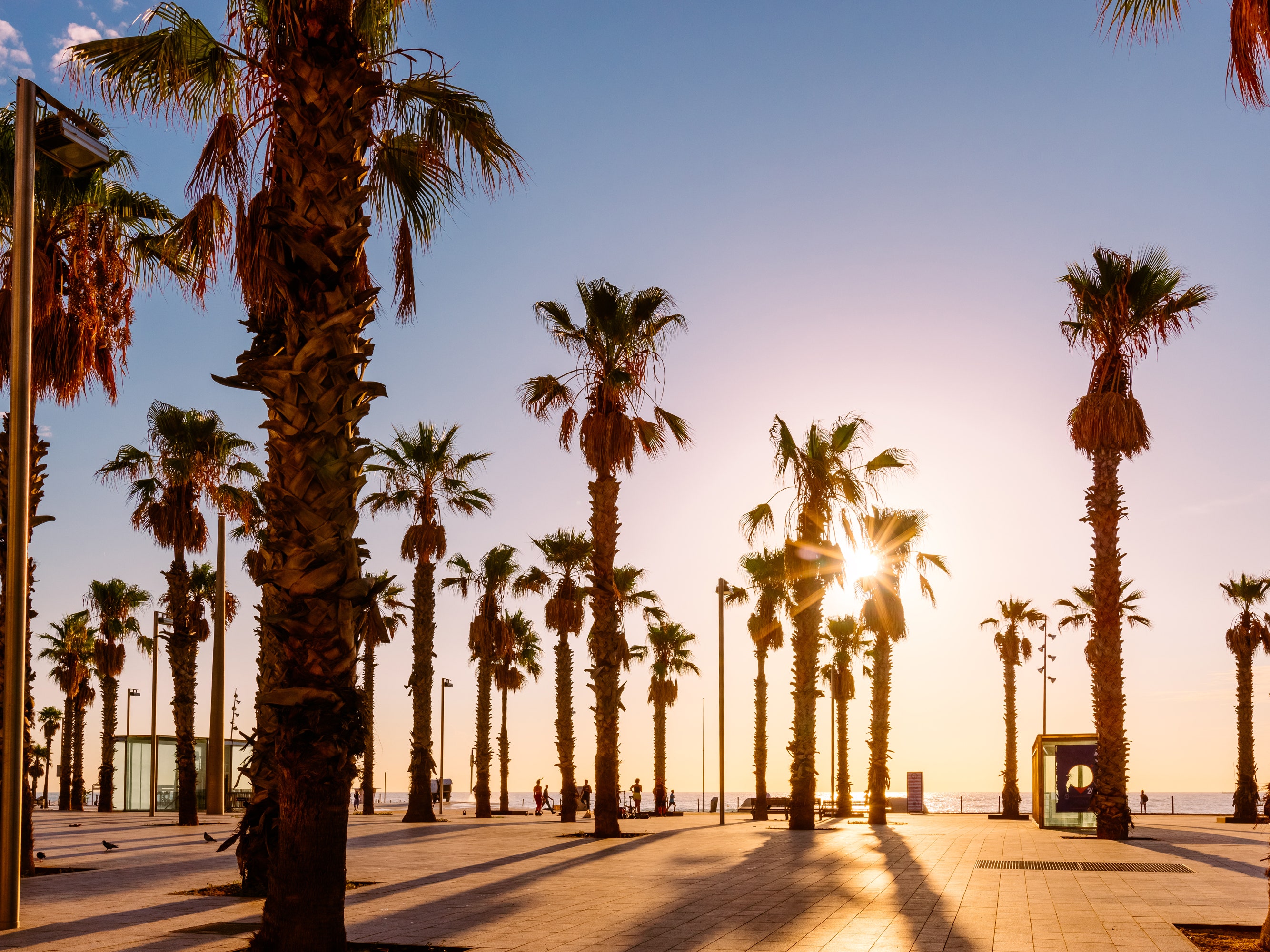 Best Beaches in Barcelona. Condé Nast Traveler