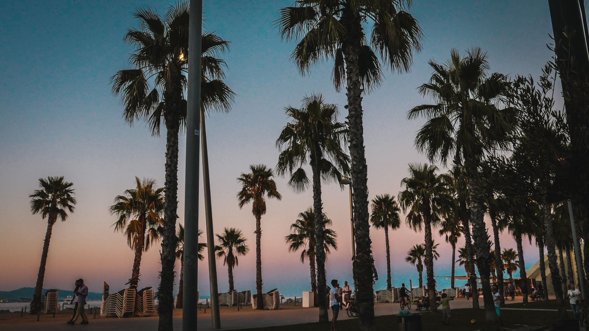 Desktop Wallpaper Barcelona Beach Palm Tree, HD Image, Picture, Background, Srgov