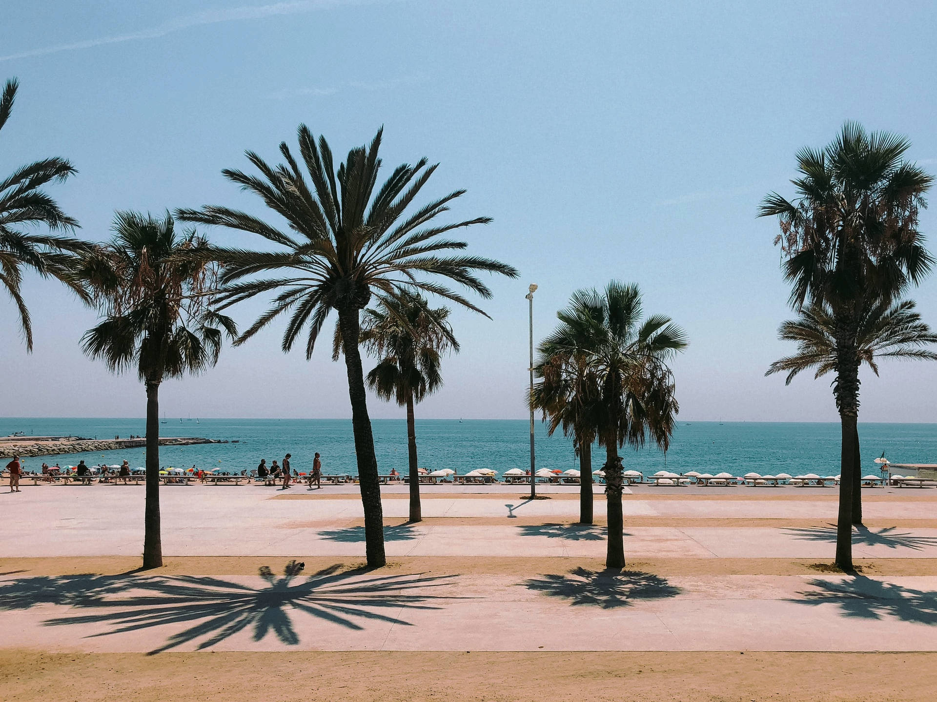 Barceloneta Beach Spain: The Best Guide to La Barceloneta Escapades. Offbeat Travels & Van Life Blog