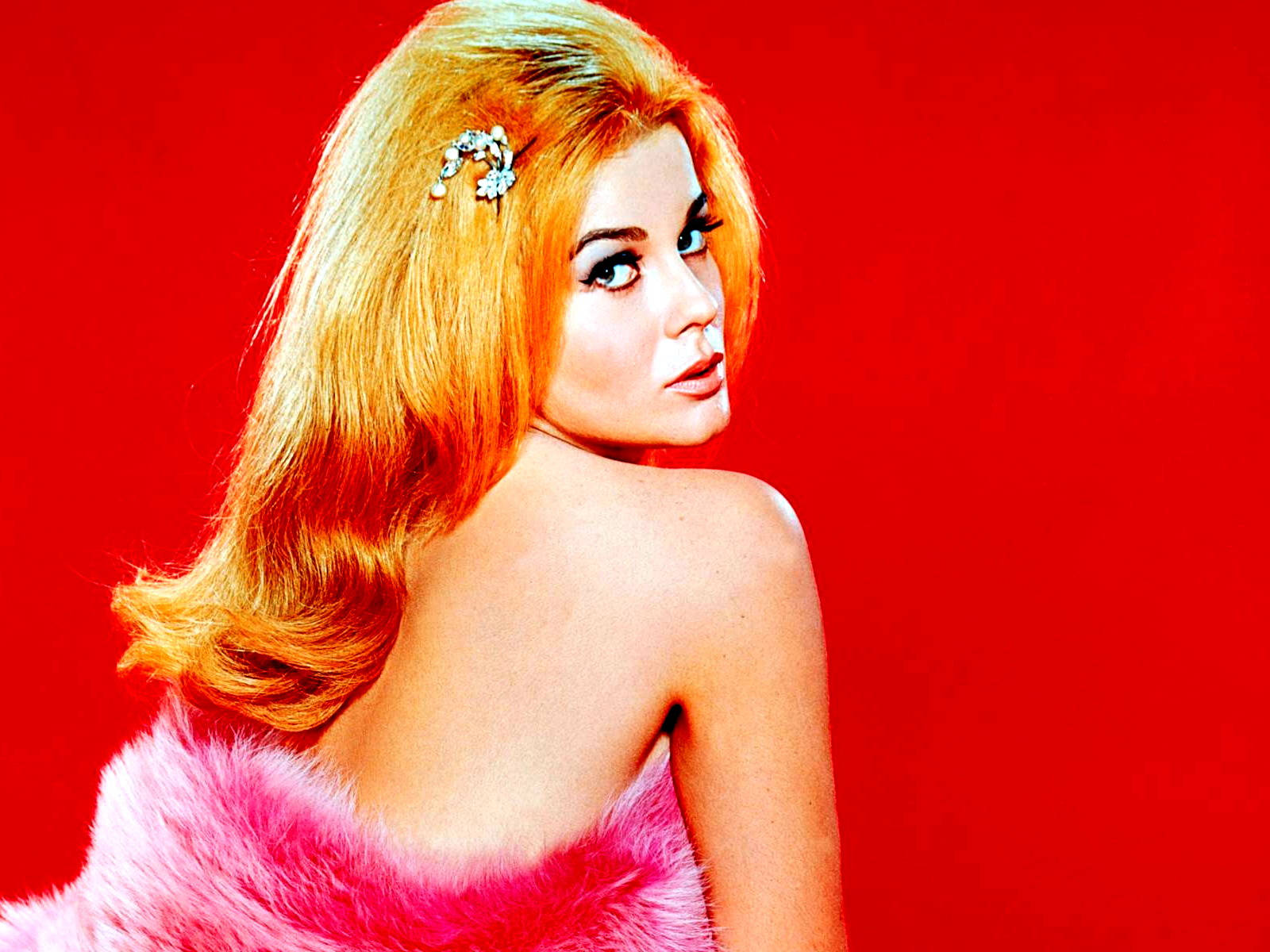 Download Glamorous Vintage Shot of American Actress Ann Margret Wallpaper