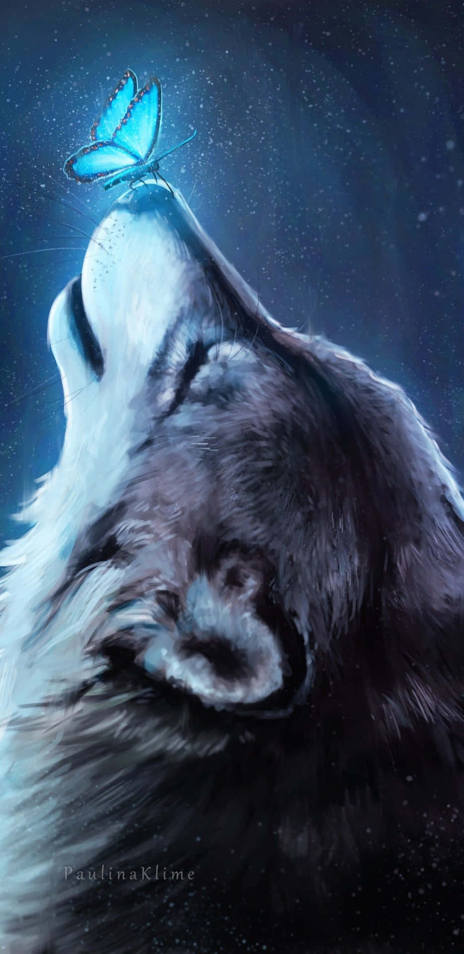 Download An enigmatic and powerful proud pretty wolf Wallpaper