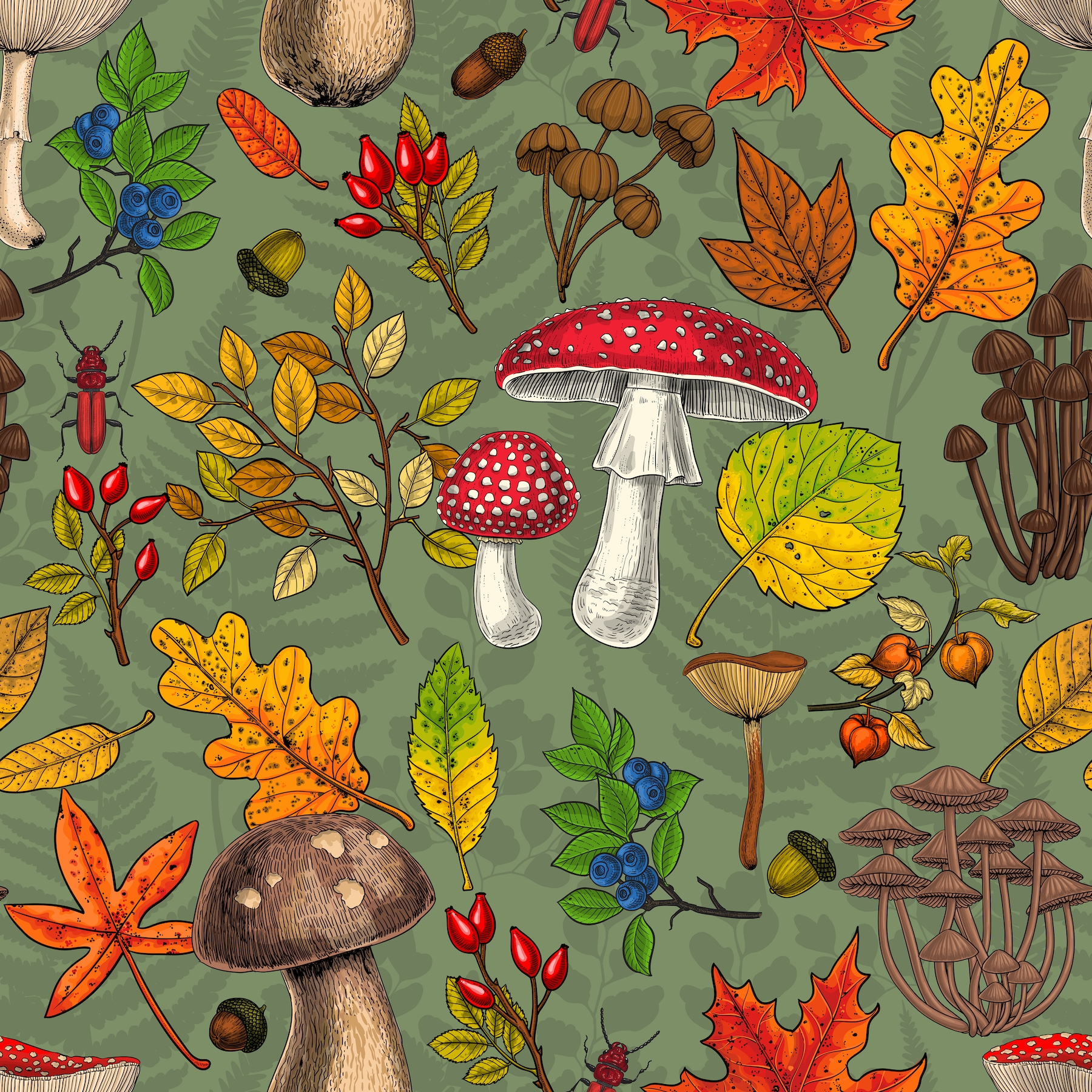 Autumn Mushrooms, Leaves, Nuts and Berries on Green Wallpaper