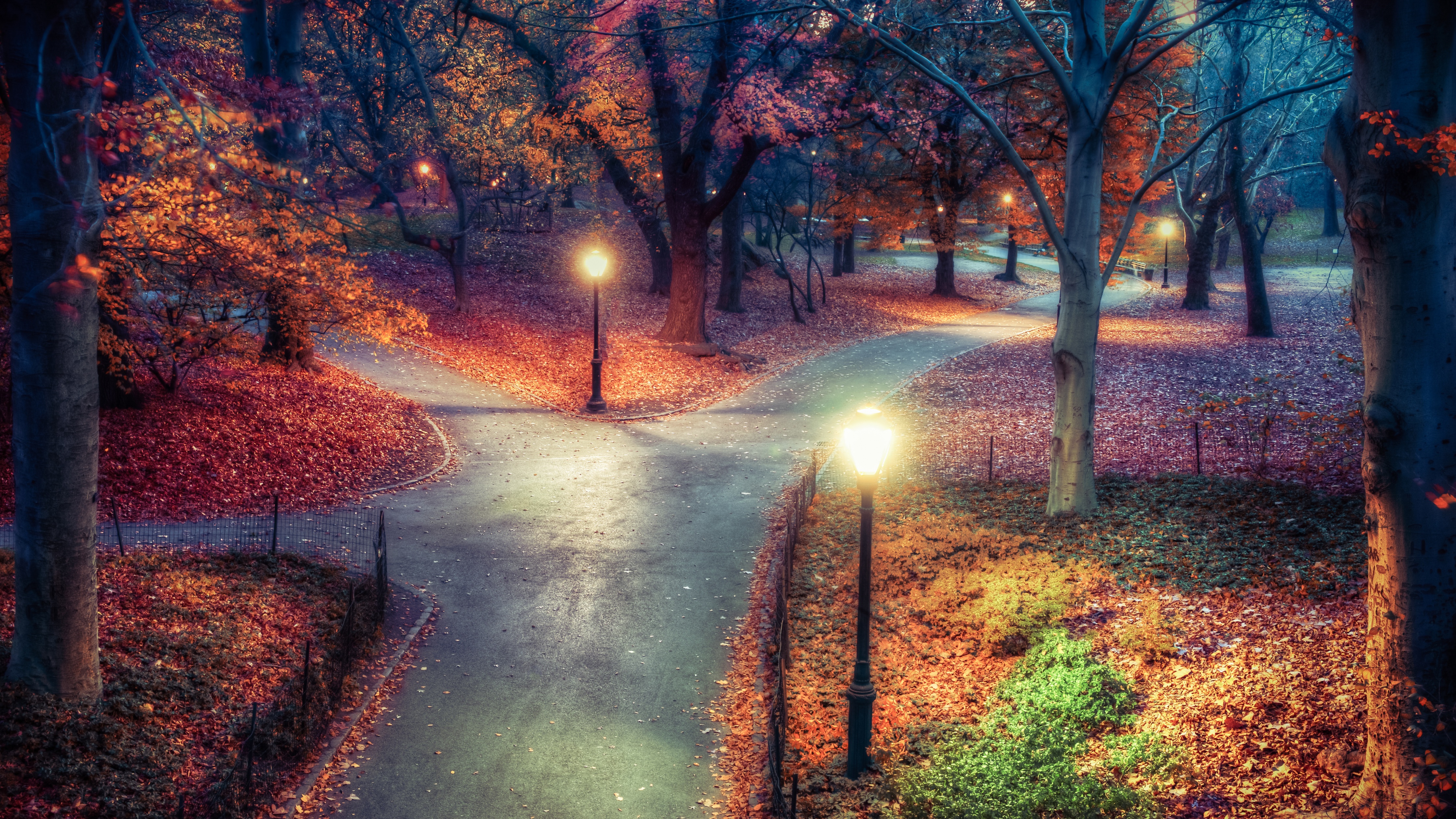 Central Park Wallpaper 4K, New York City, Autumn leaves