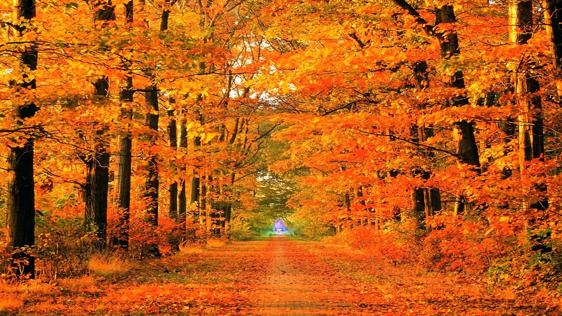 Autumn Wallpaper For Desktop
