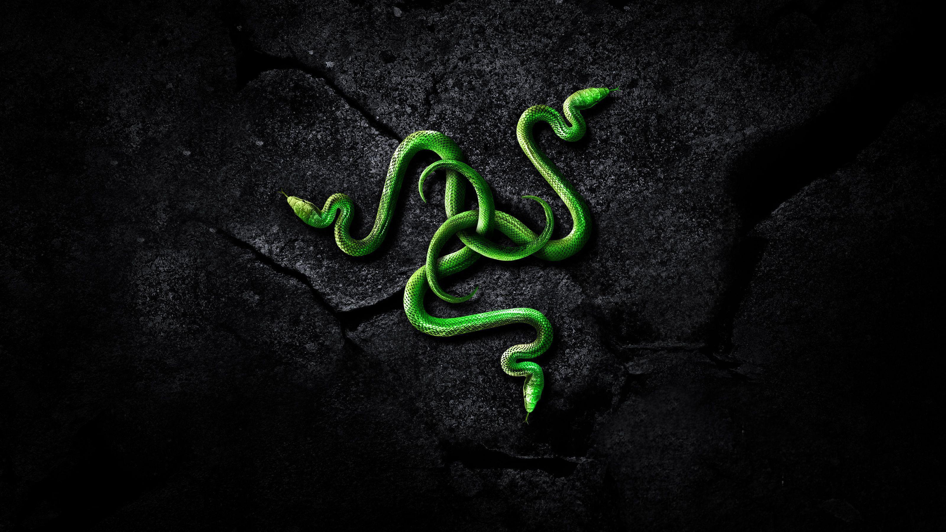 Razer Wallpaper 4K Free download