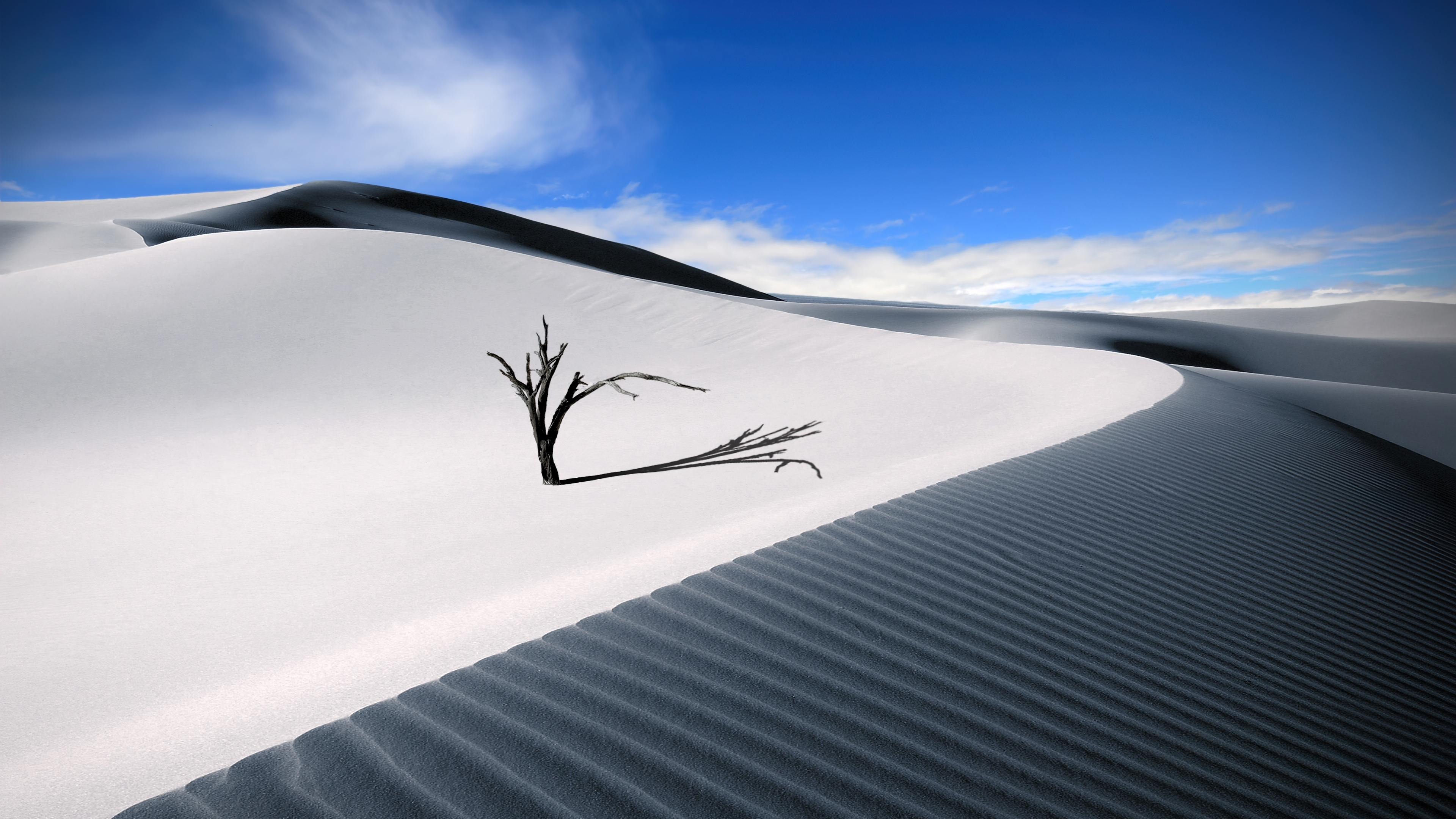 lone desert 4k wallpaper, uhd wallpaper