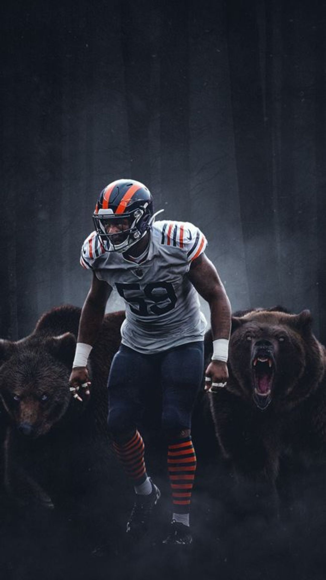 Chicago Bears 2022 Wallpapers - Wallpaper Cave