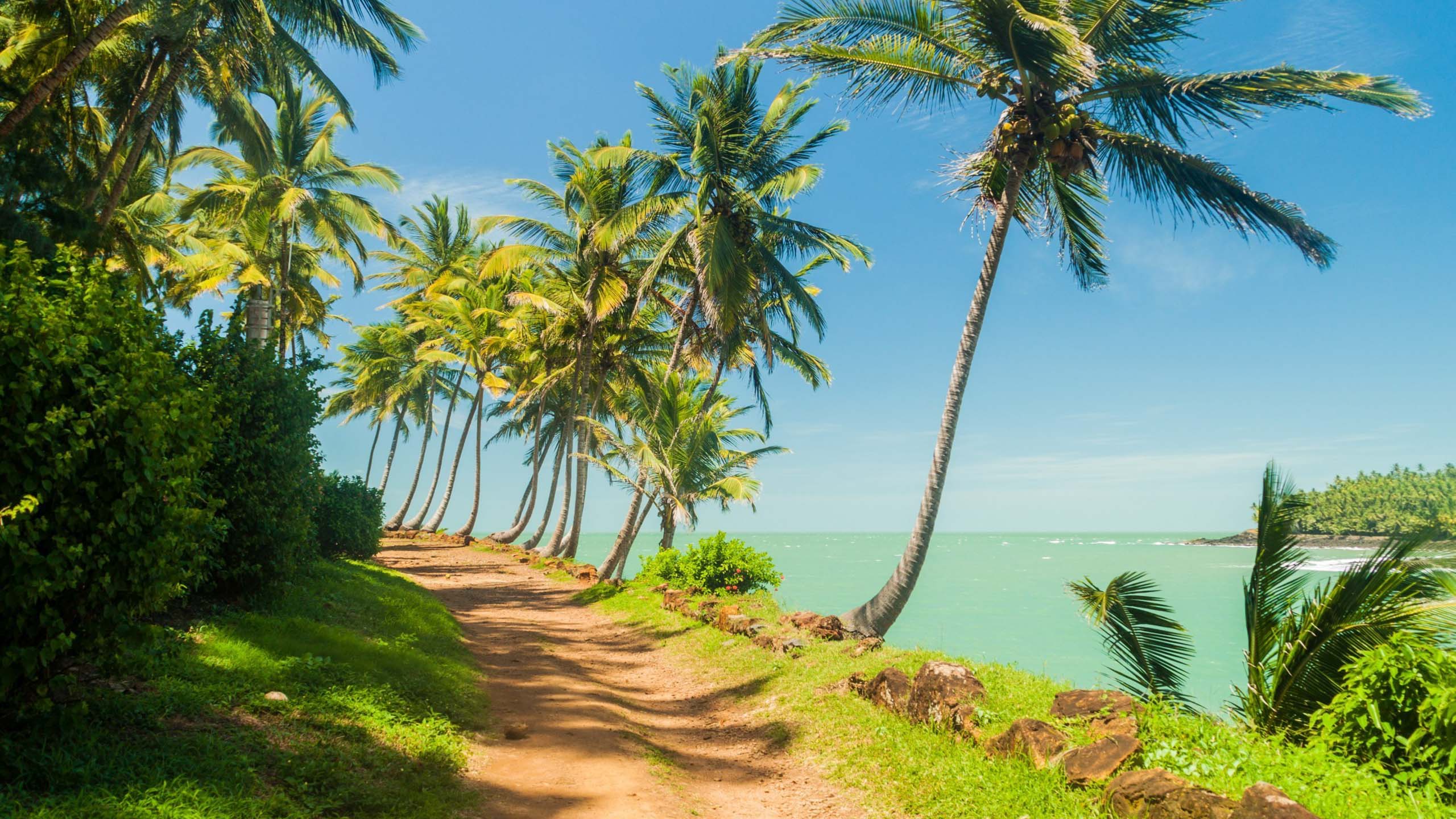 French Guiana Holidays 2023 2024. Cox & Kings