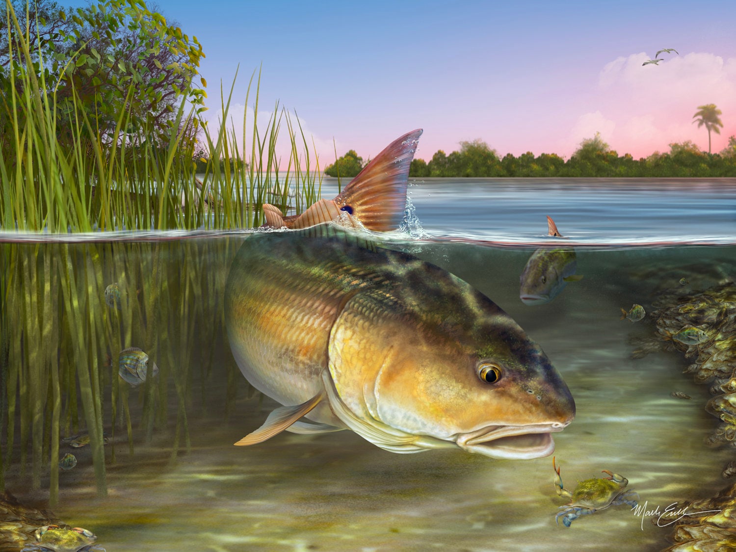 Redfish Gifts for Dad. Red Drum Art Print Fishing Gift Red