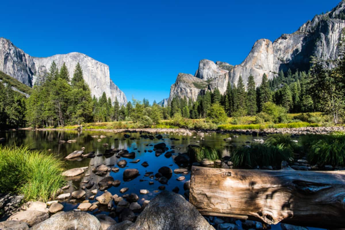 Photos of Yosemite National Park That Try to Capture Its Untamed Grandeur