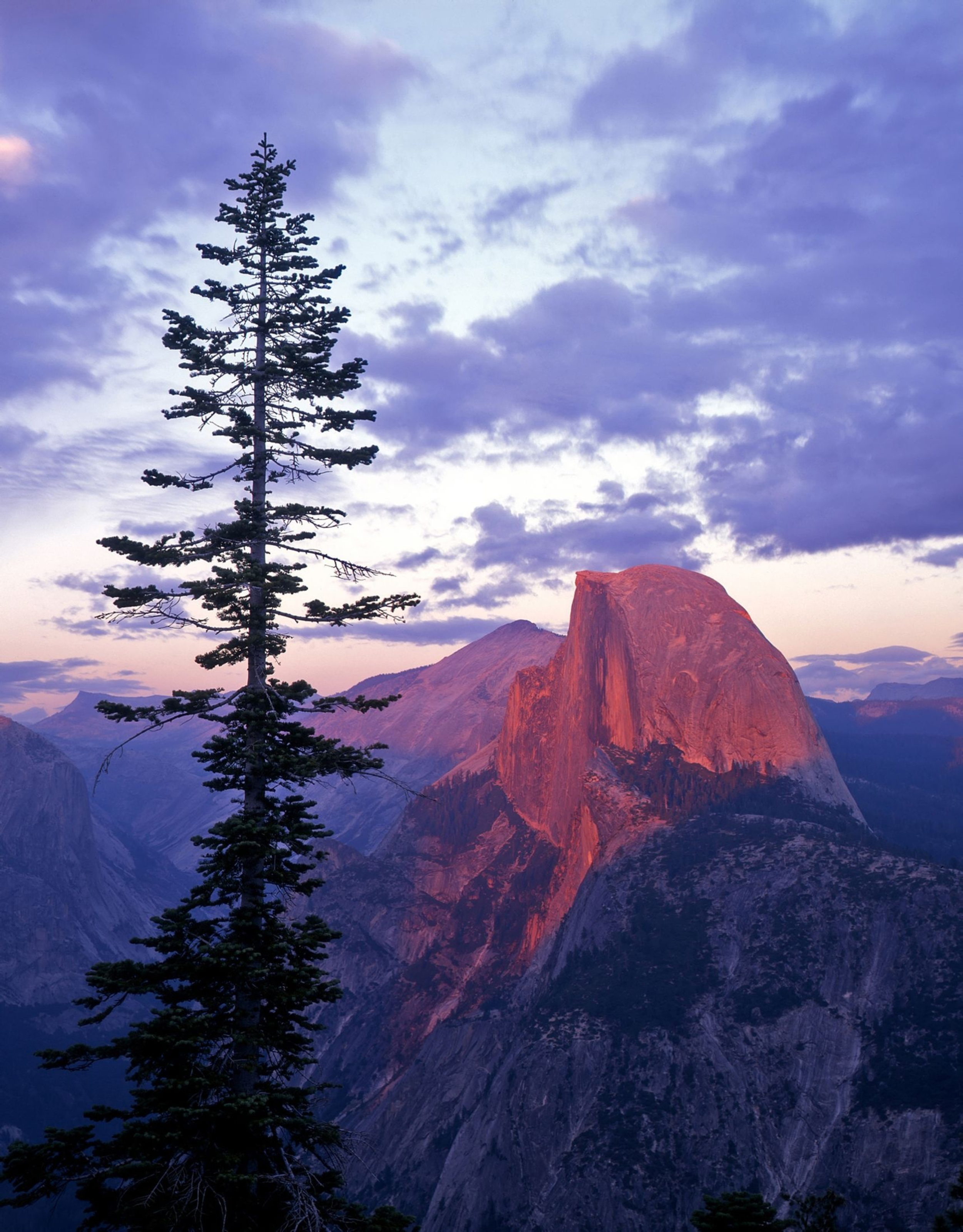 Half Dome Yosemite National Park California Wall Mural