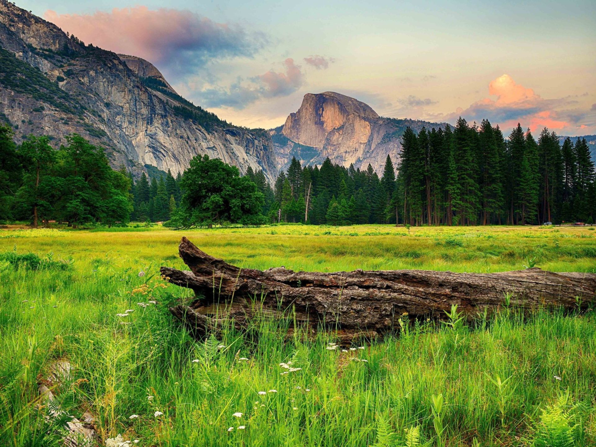 Yosemite National Park Valley In California Usa Mountains Forests Grass Nature Scenery Wallpaper, Wallpaper13.com