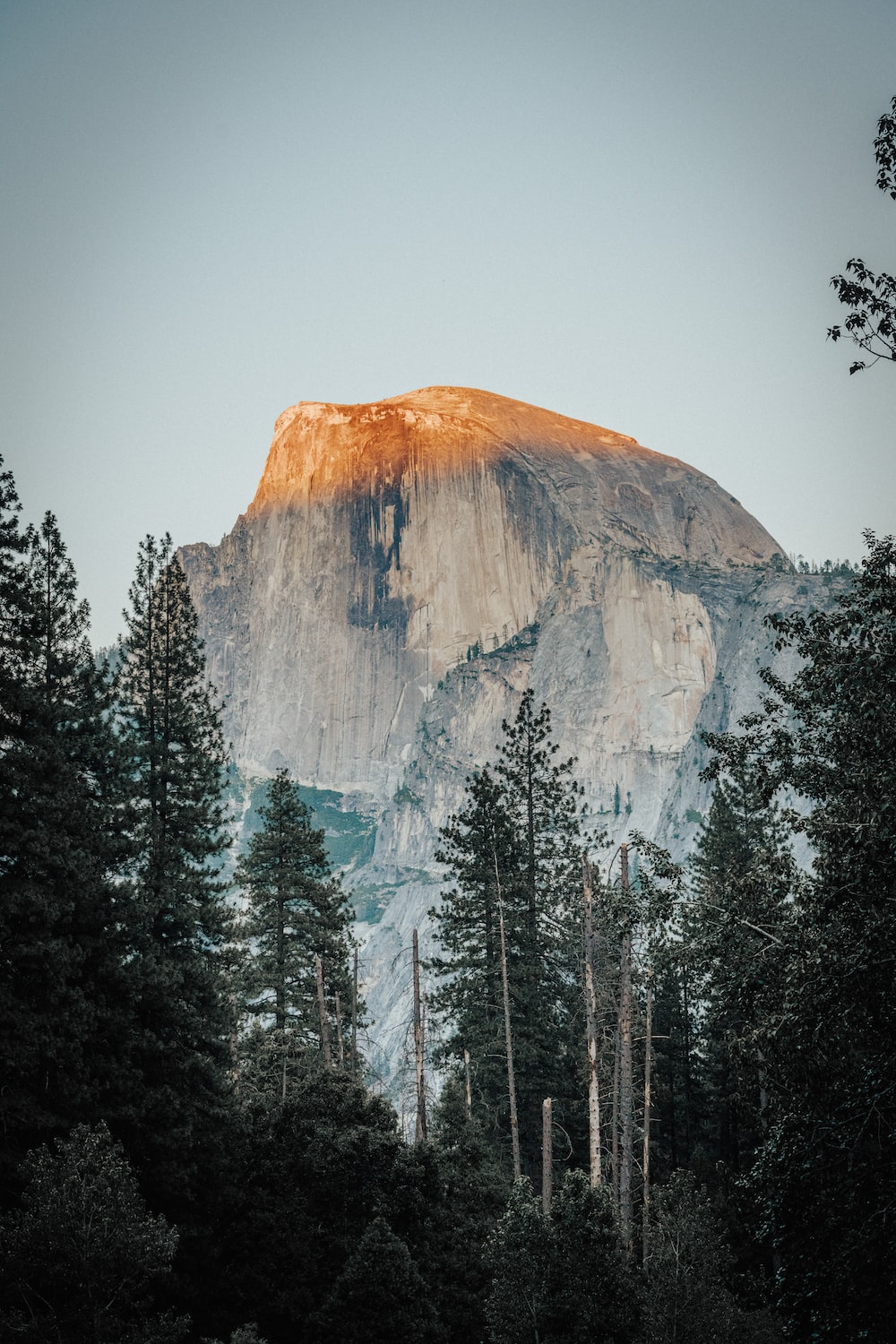 Yosemite National Park. best free park, californium, yosemite and outdoor photo