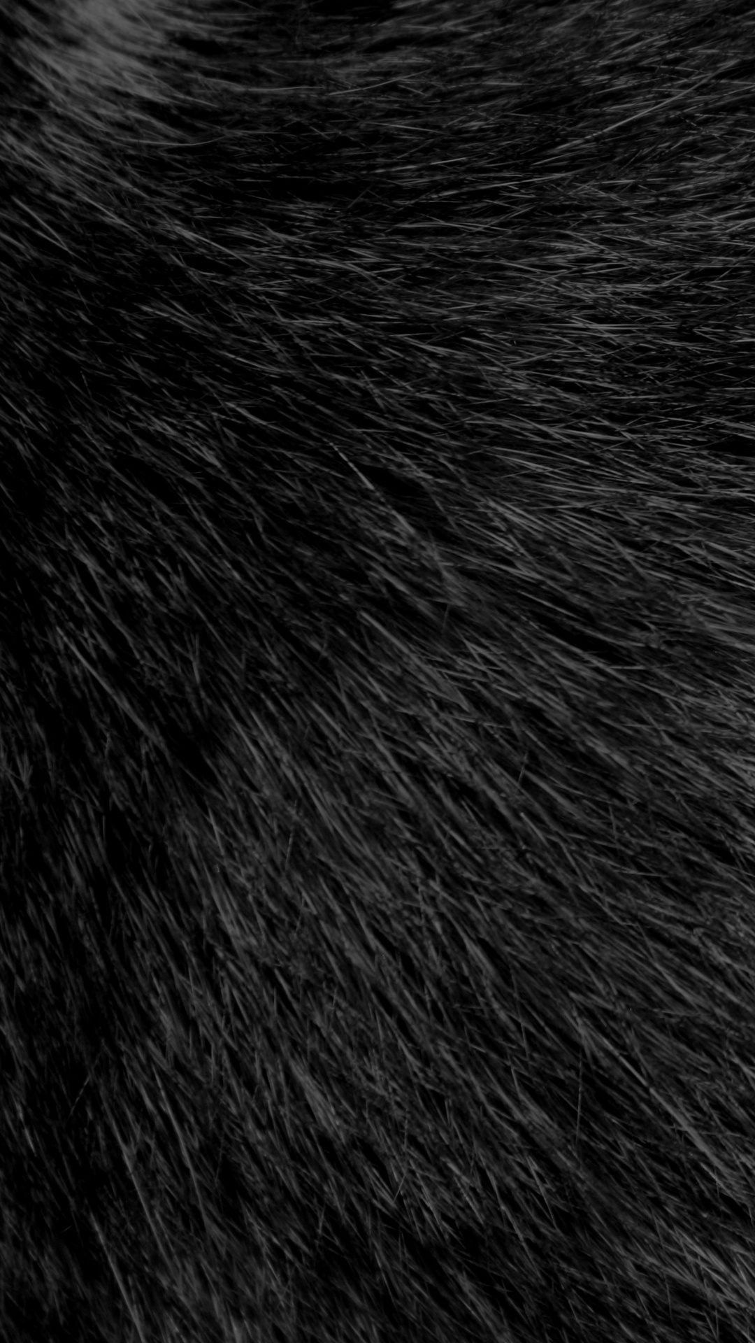 Black Fur Wallpaper