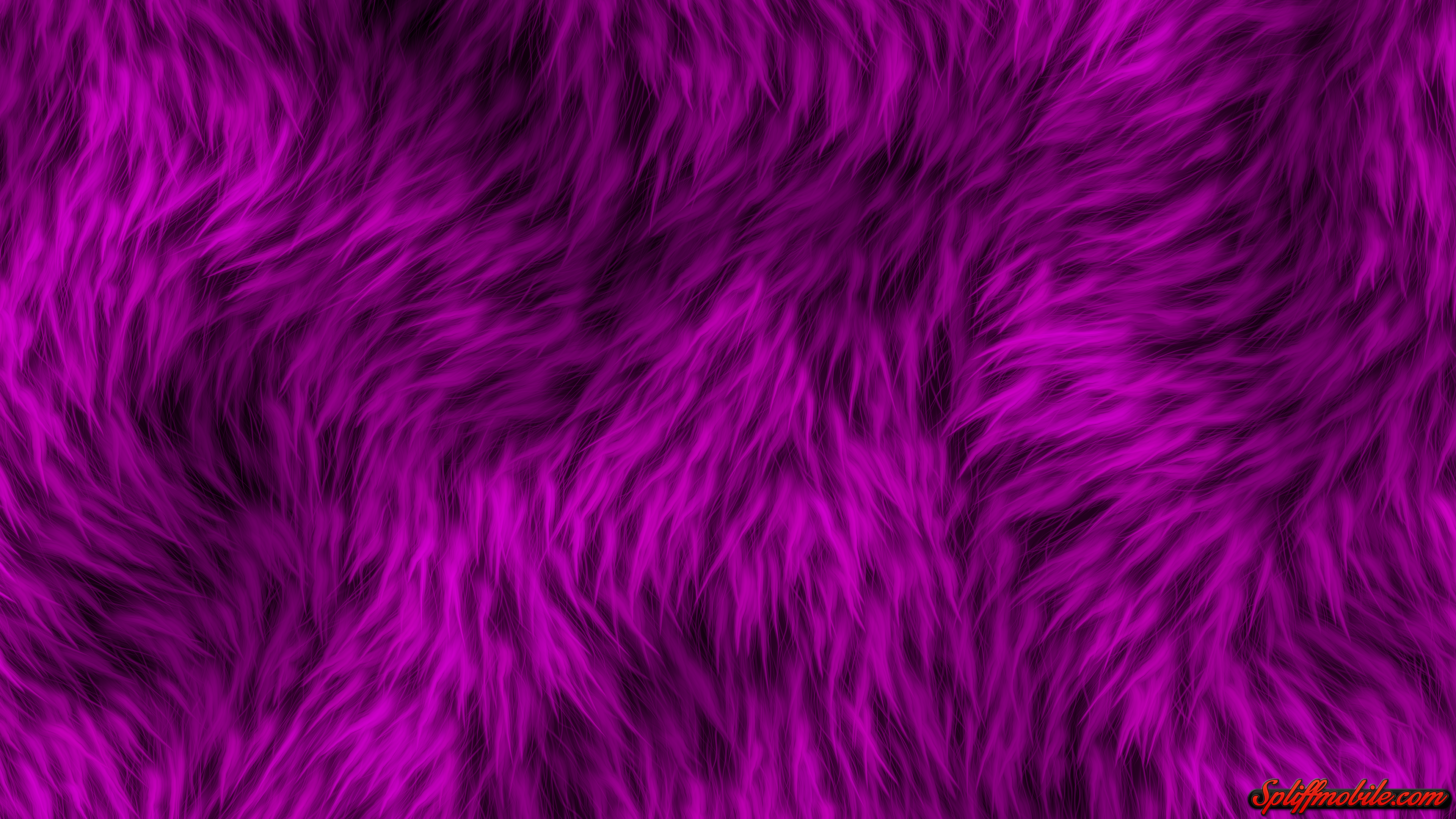 Free download HD Furry Purple Wallpaper [3840x2160] for your Desktop, Mobile & Tablet. Explore Purple Fur Wallpaper. Background Purple, Wallpaper Purple, Purple Wallpaper