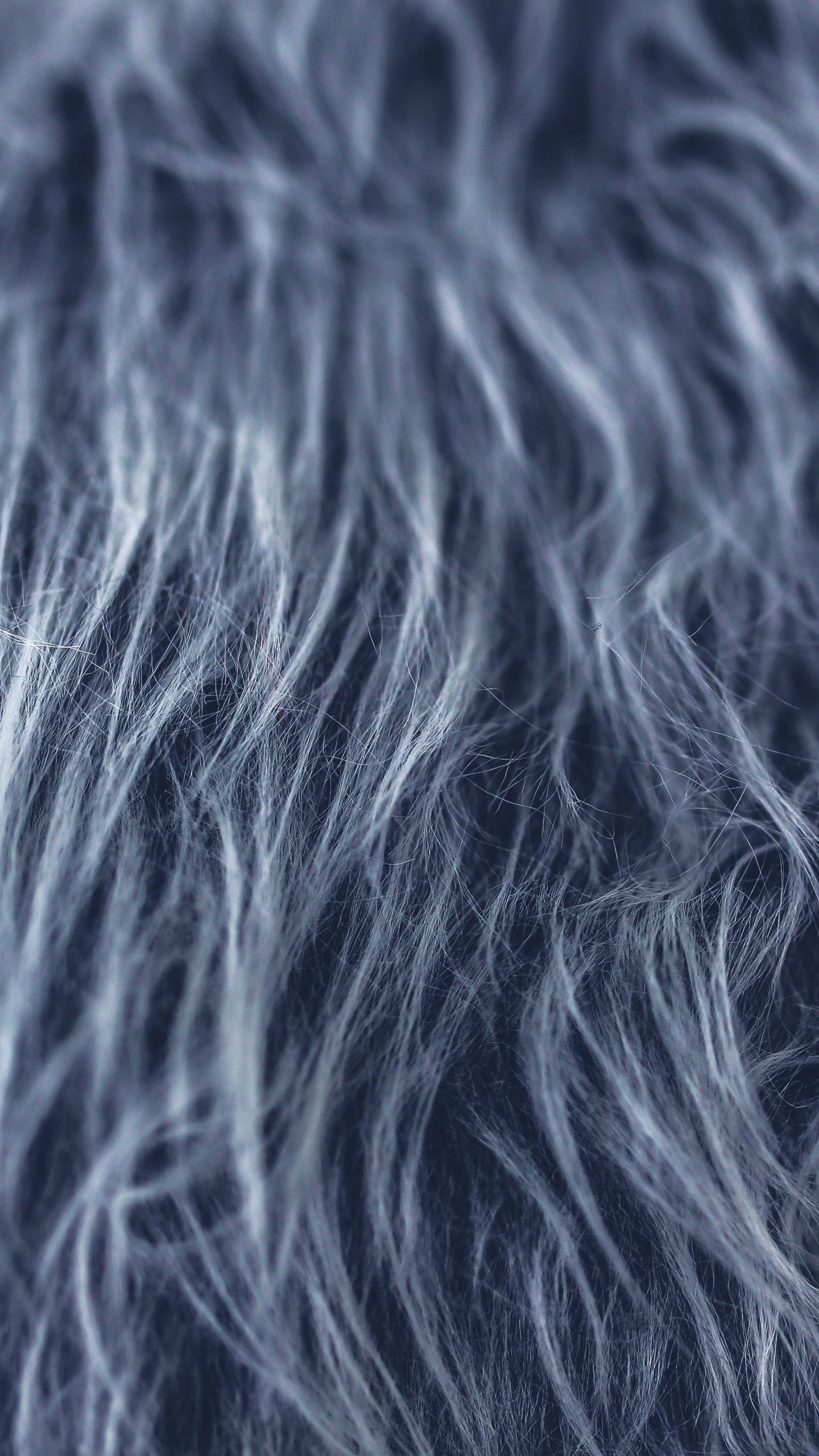 Fur Texture Wallpaper, Android & Desktop Background