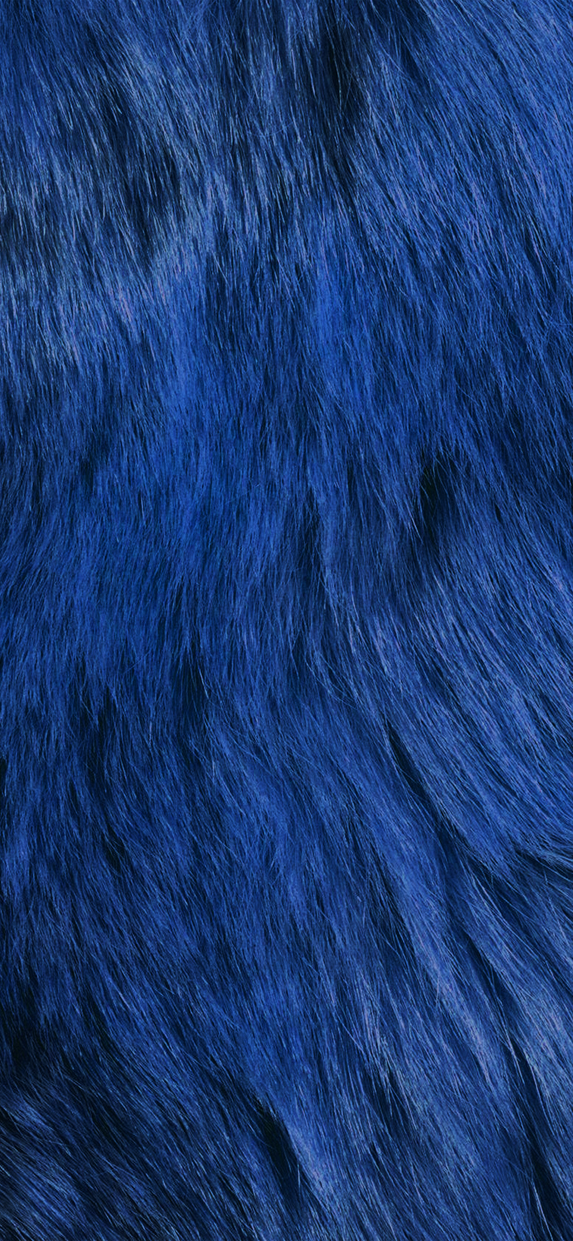 iPhone X wallpaper. texture fur dog blue pattern dark