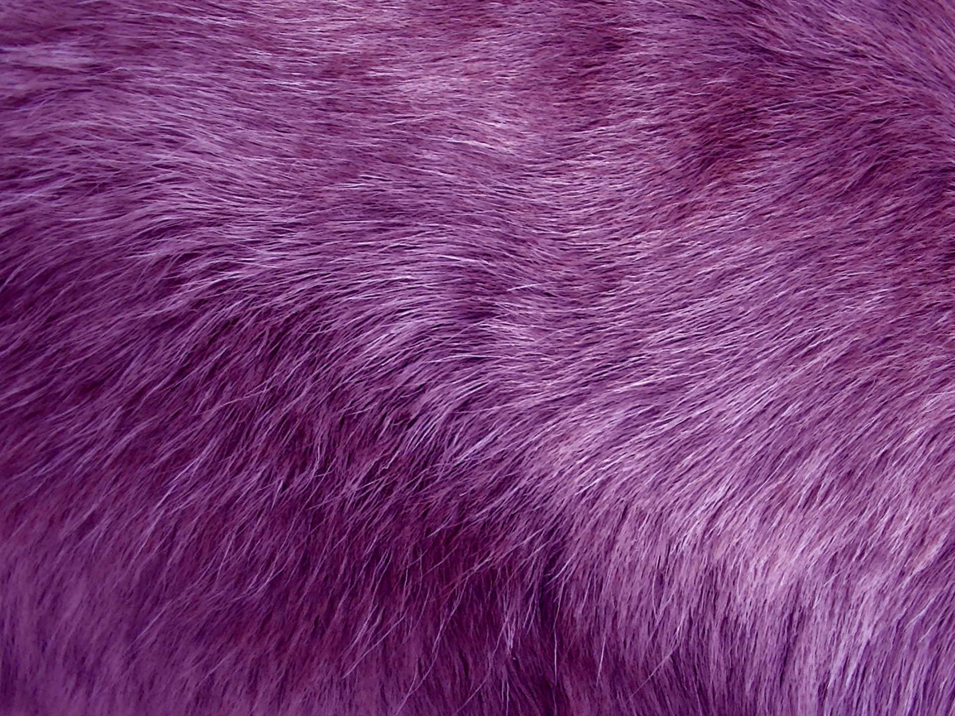 Purple Fur Wallpaper