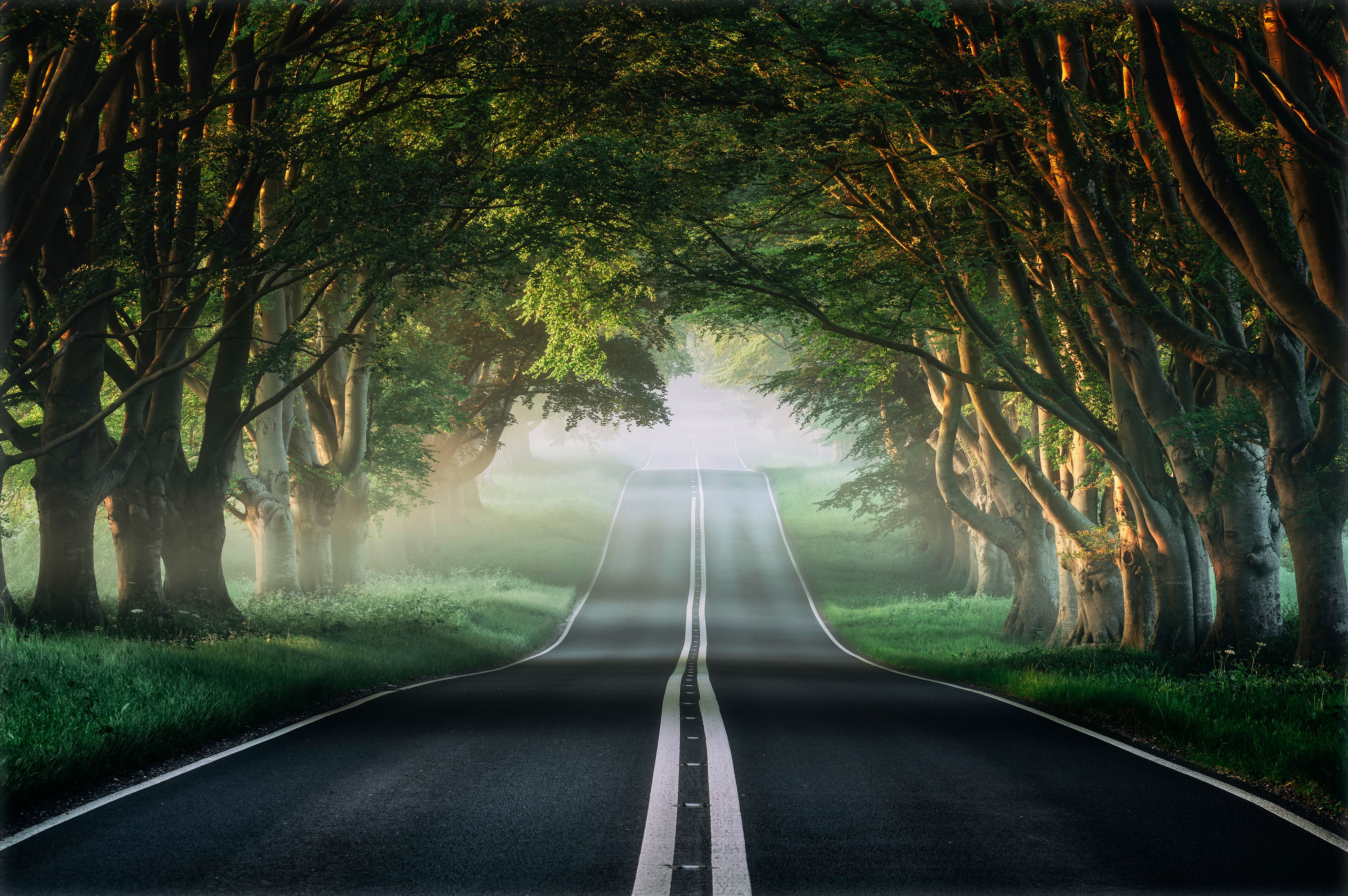 Asphalt road near green trees in summer Desktop wallpaper 1920x1080