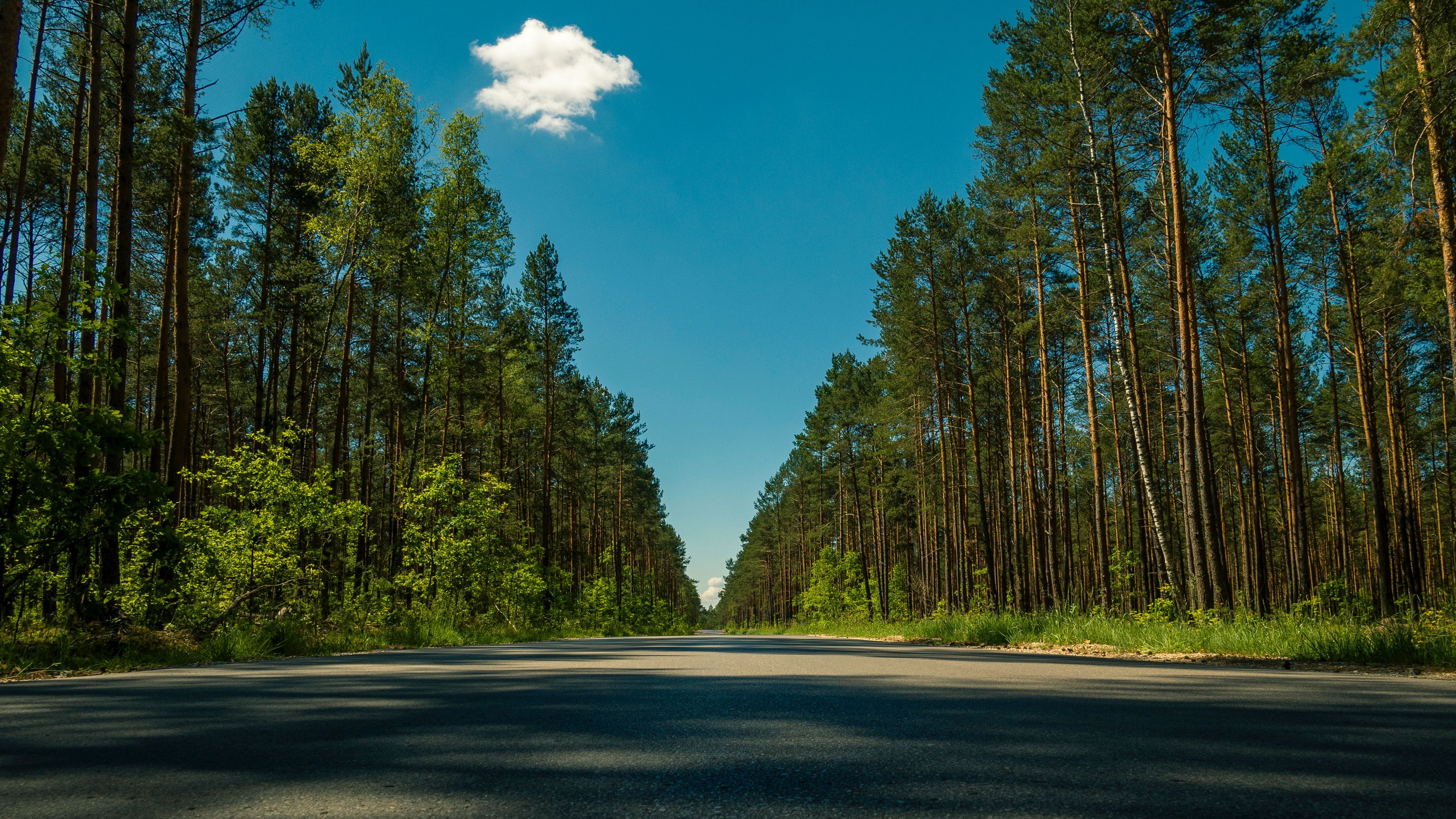 Wallpaper / road, trees, summer, 4k free download