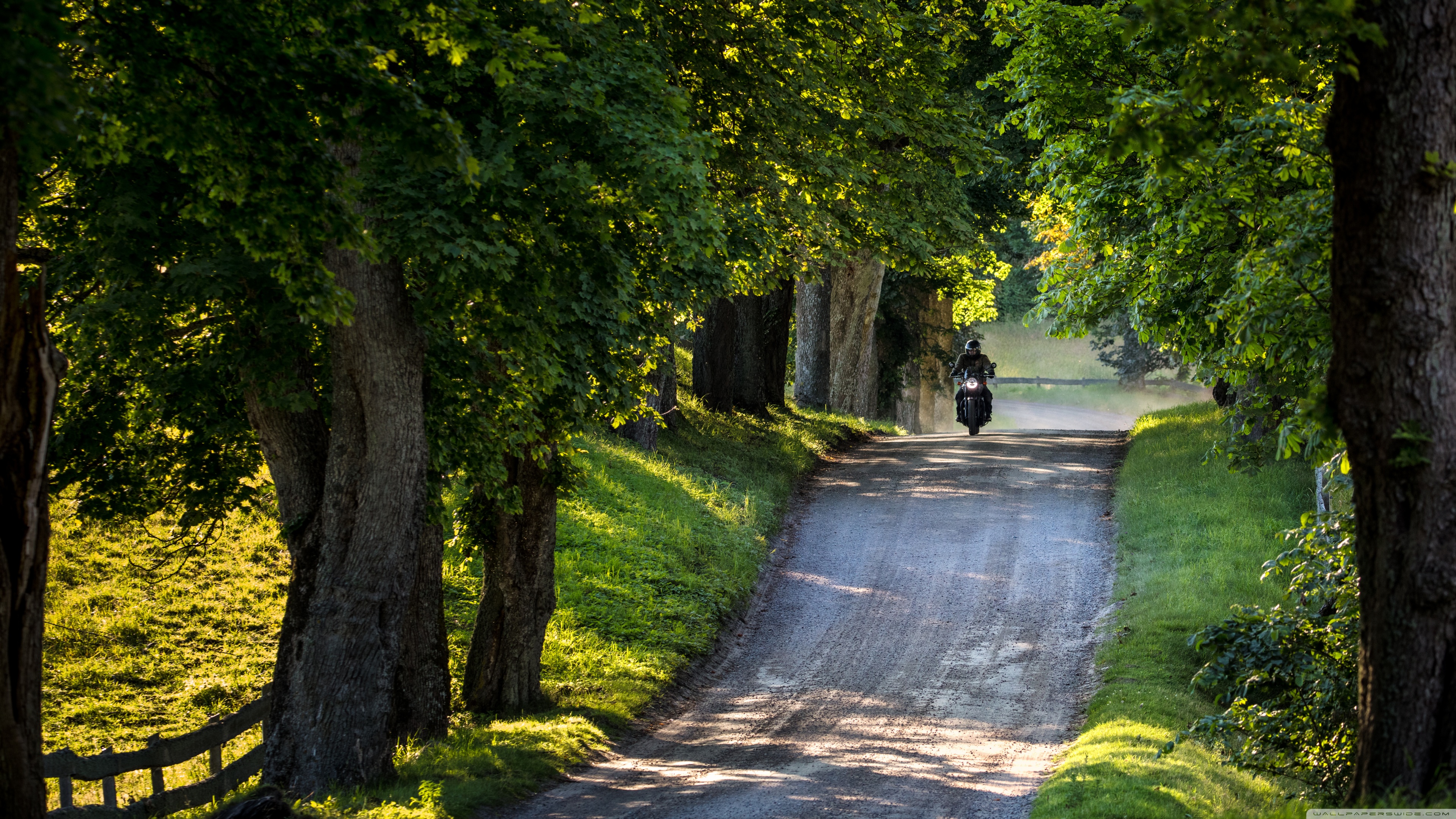 Ride, Country Road, Trees, Summer Ultra HD Desktop Background Wallpaper for 4K UHD TV, Widescreen & UltraWide Desktop & Laptop, Tablet