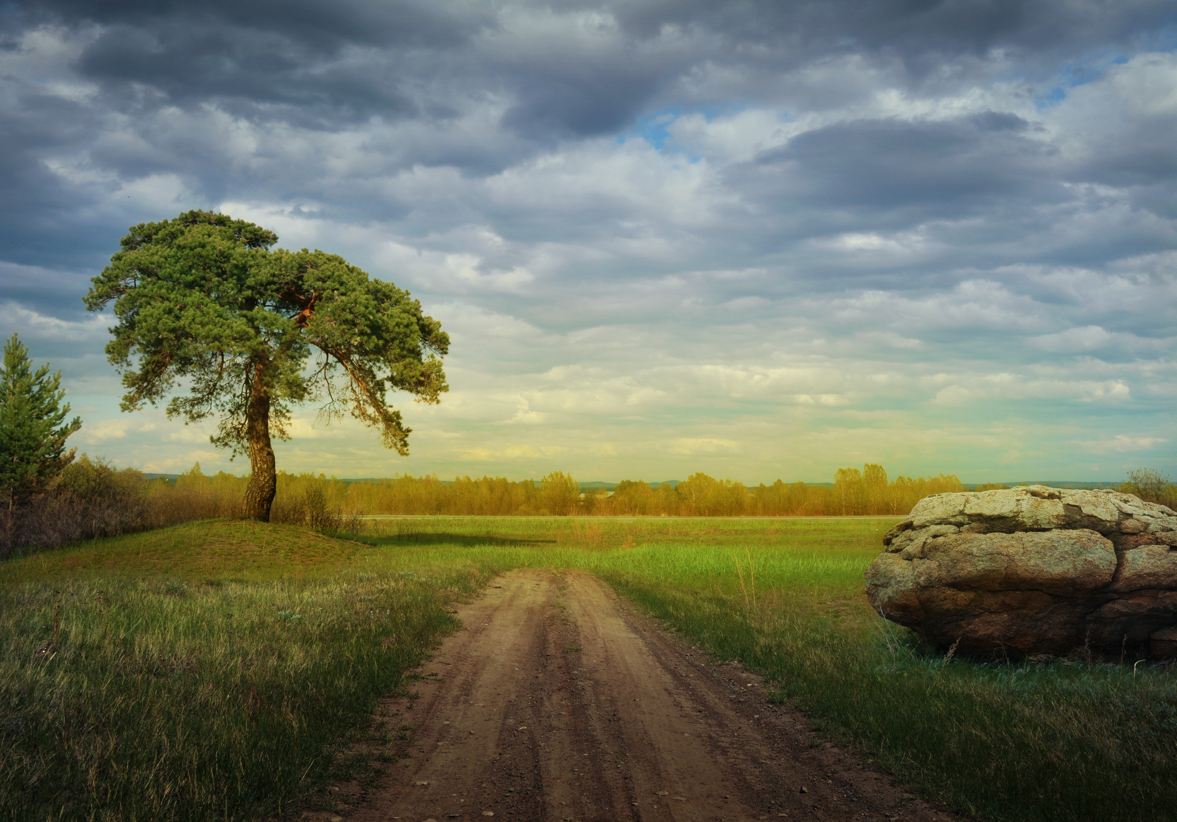 4K, Stones, Roads, Summer, Trees, Grass Gallery HD Wallpaper